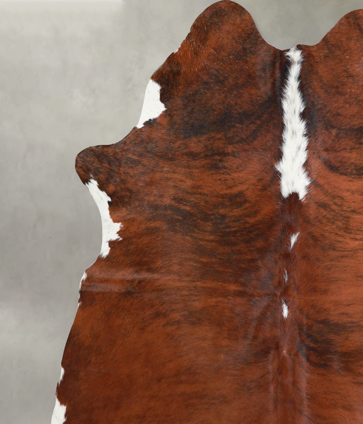 Medium Brindle Large Brazilian Cowhide Rug 6'3"H x 5'3"W #A55401 by Hudson Hides