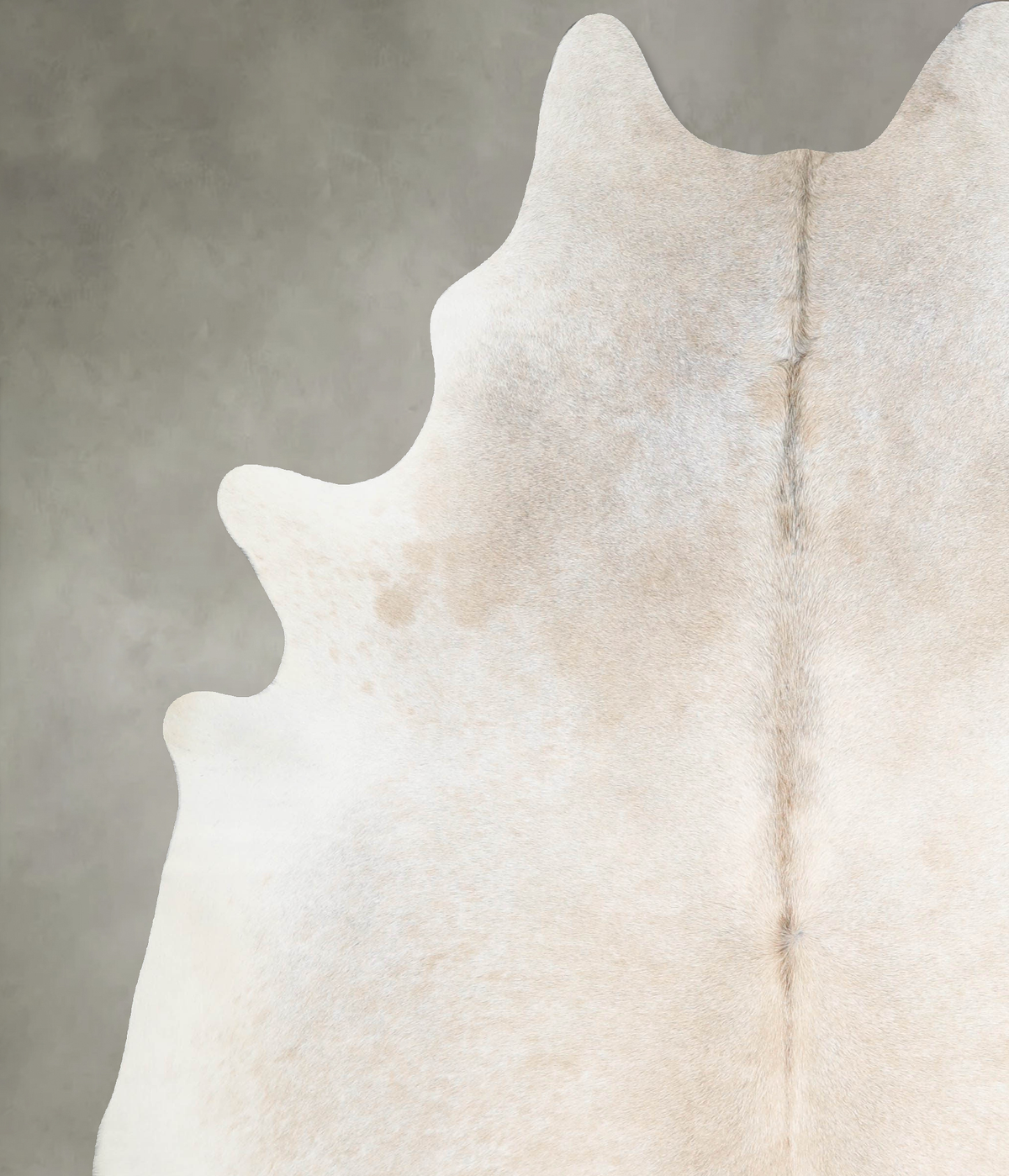Ivory with Beige XX-Large Brazilian Cowhide Rug 8'1"H x 6'4"W #A55402 by Hudson Hides