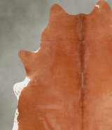 Solid Brown X-Large Brazilian Cowhide Rug 7'2"H x 6'4"W #A55404 by Hudson Hides