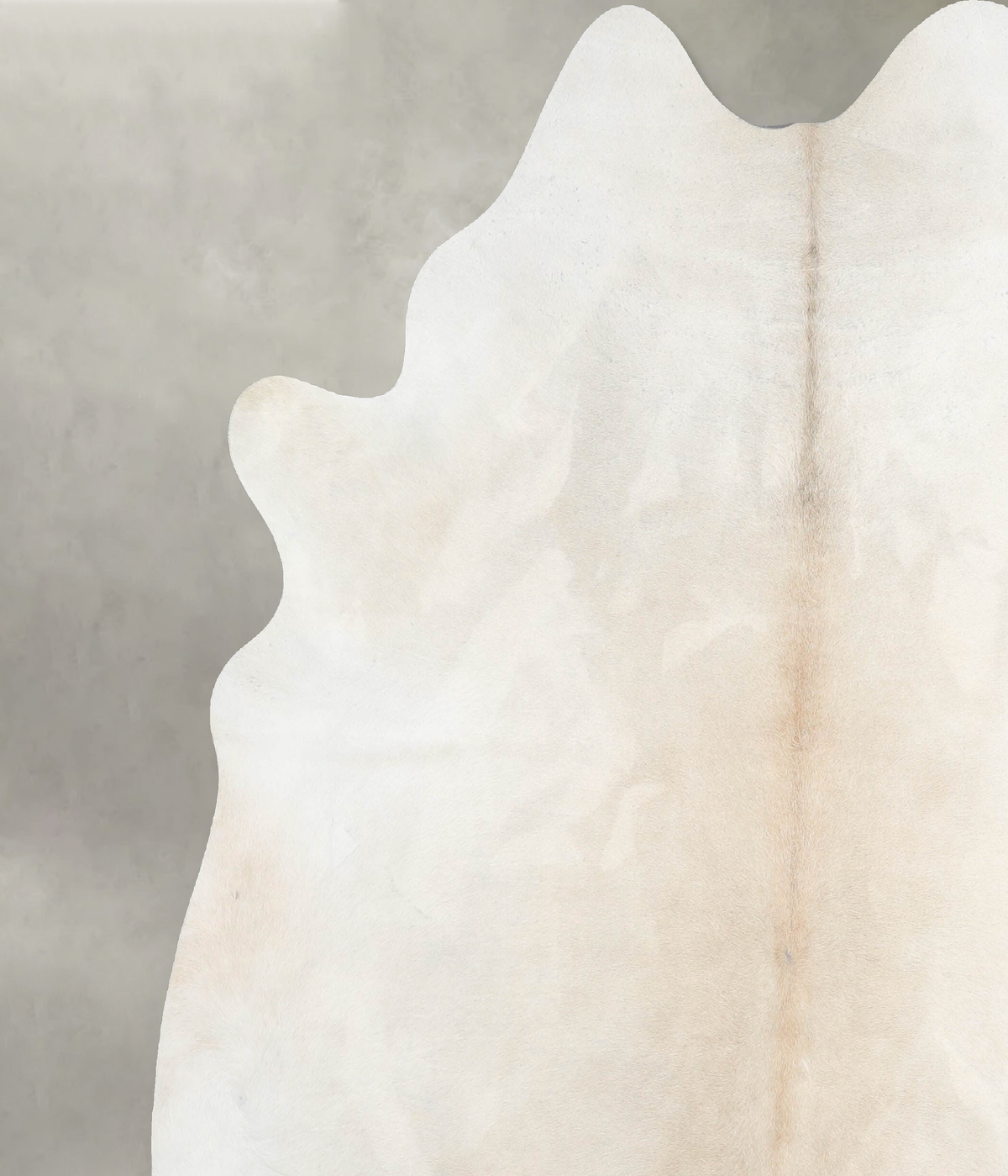 Ivory with Beige X-Large Brazilian Cowhide Rug 7'1"H x 6'6"W #A55405 by Hudson Hides