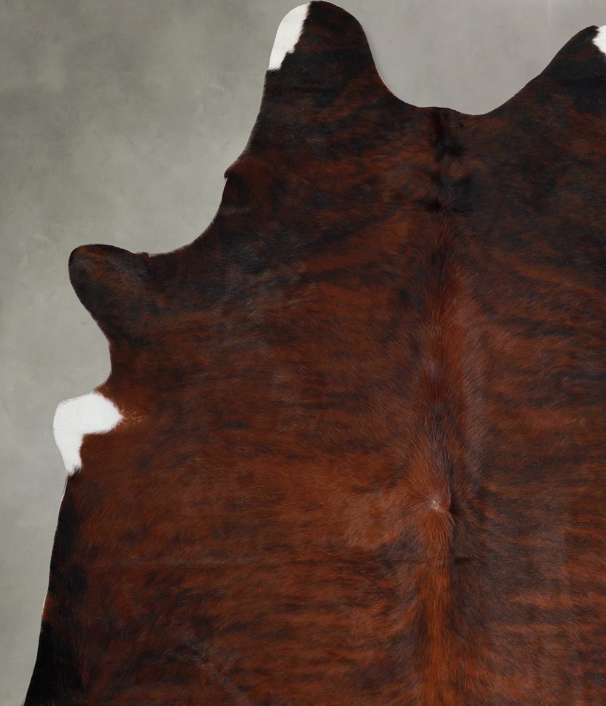 Dark Brindle XX-Large Brazilian Cowhide Rug 8'2"H x 6'11"W #A55406 by Hudson Hides