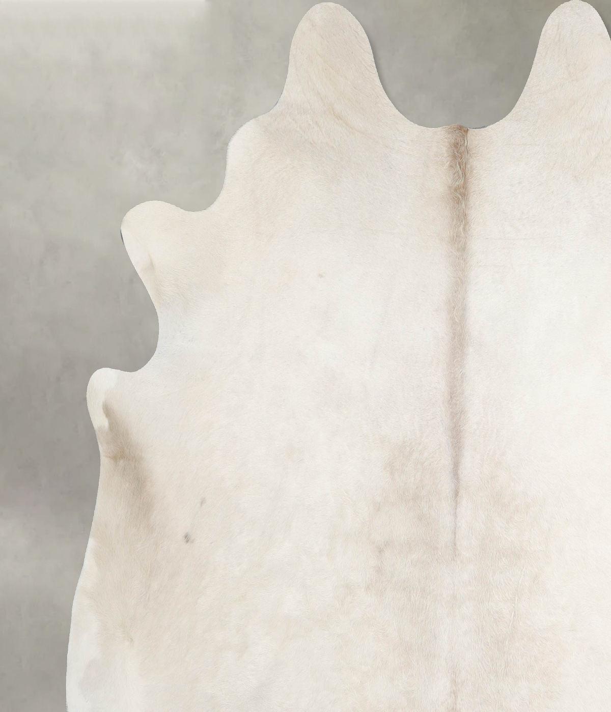 Champagne XX-Large Brazilian Cowhide Rug 7'1"H x 7'4"W #A55407 by Hudson Hides