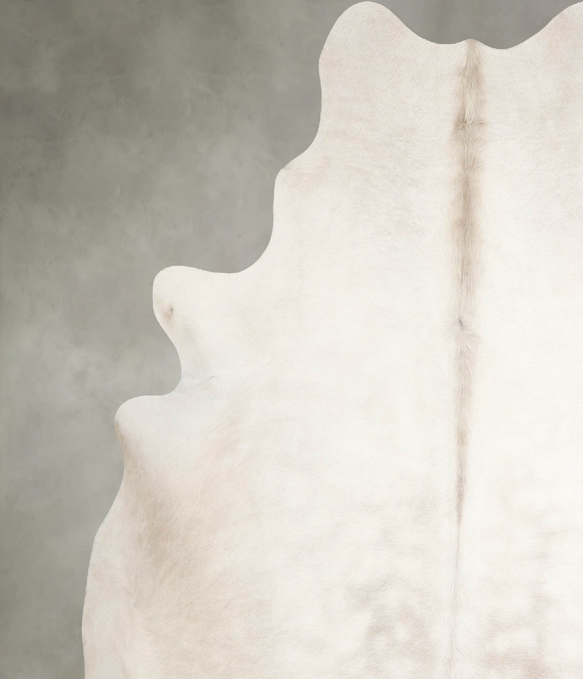 Champagne XX-Large Brazilian Cowhide Rug 8'0"H x 6'10"W #A55409 by Hudson Hides