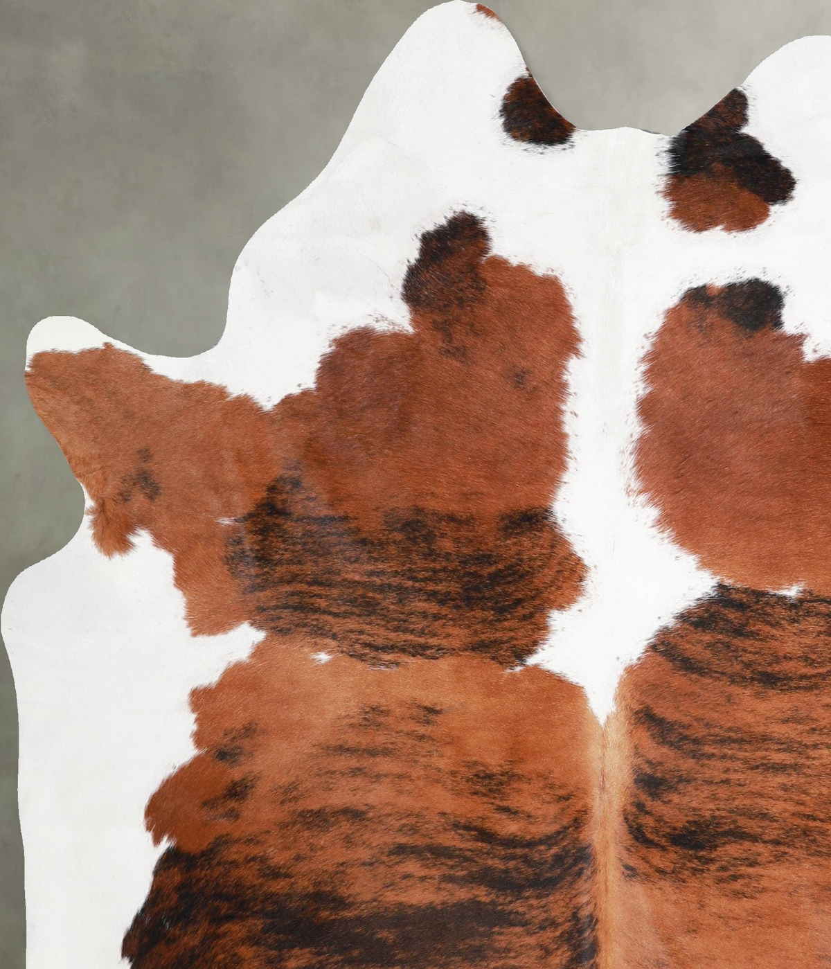 Tricolor Large Brazilian Cowhide Rug 6'6"H x 5'8"W #A55417 by Hudson Hides