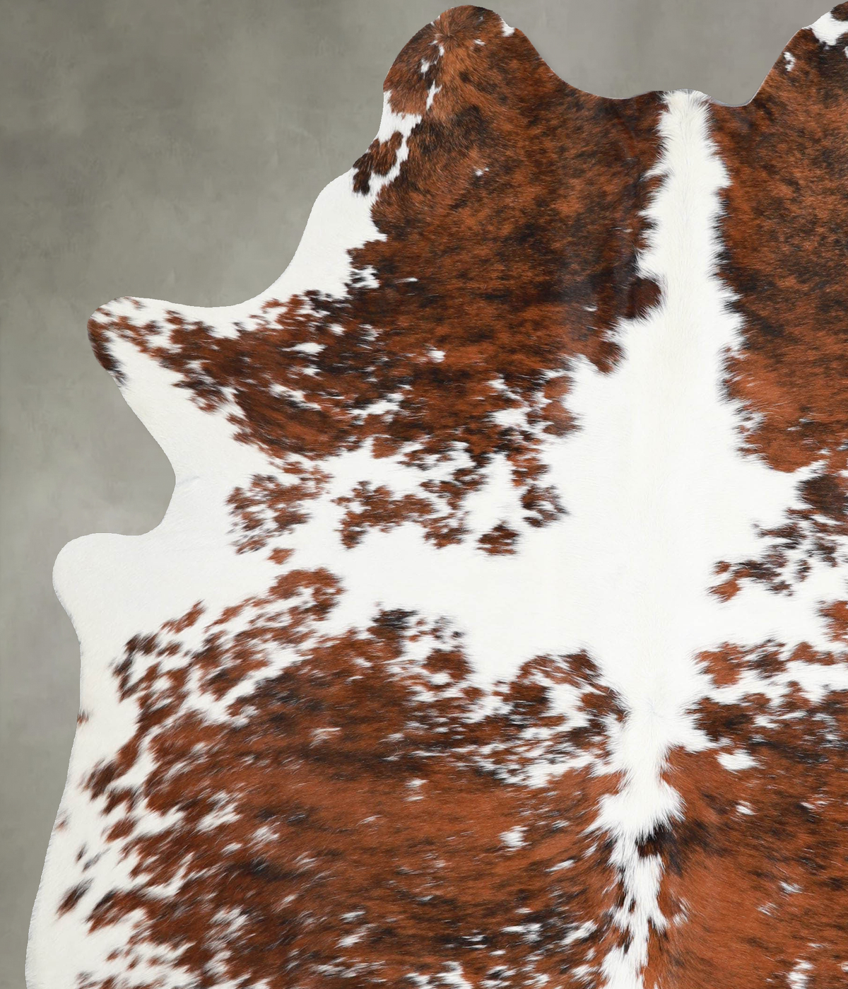 Tricolor Large Brazilian Cowhide Rug 6'11"H x 5'7"W #A55420 by Hudson Hides