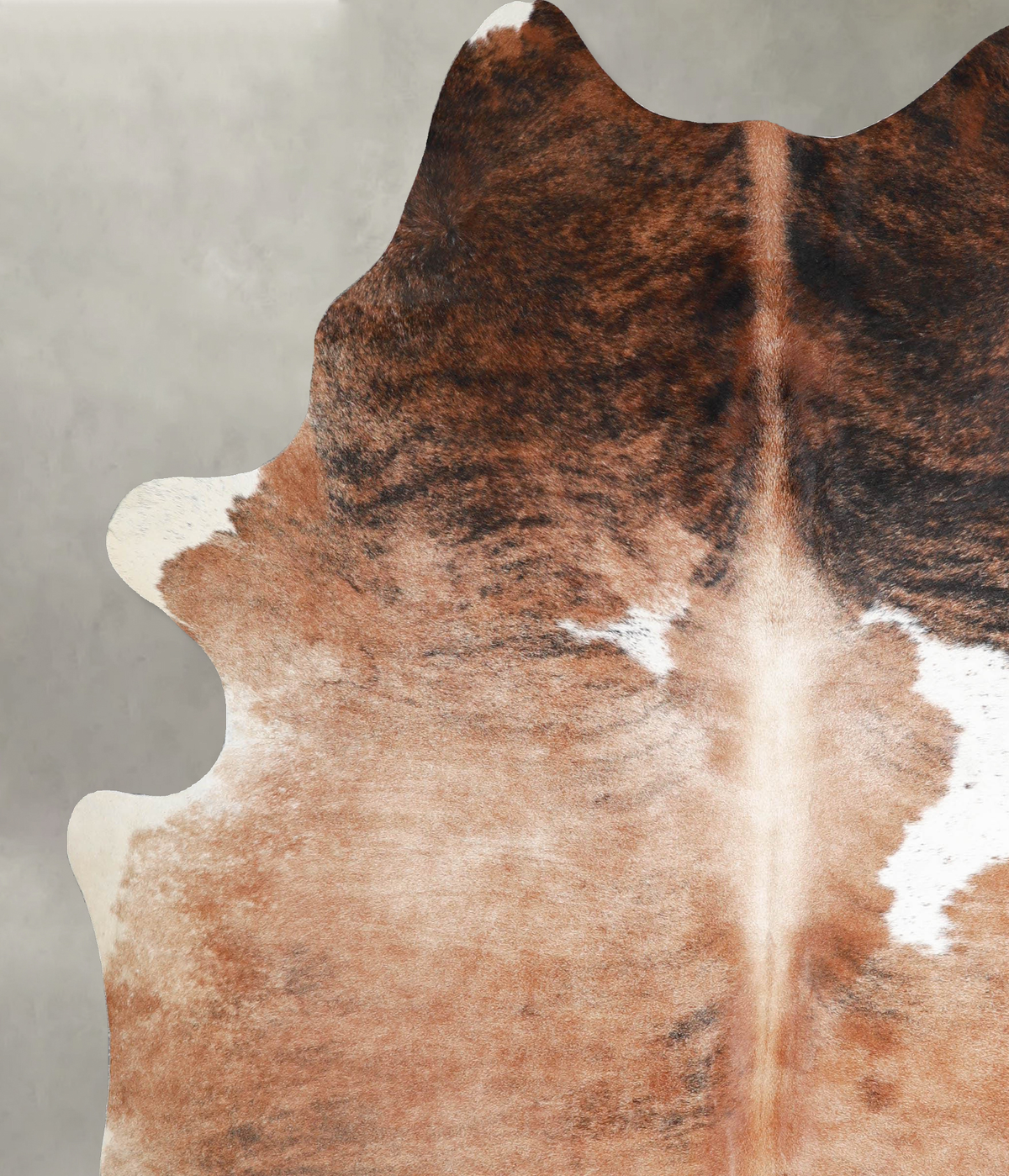 Tricolor X-Large Brazilian Cowhide Rug 7'7"H x 6'4"W #A55423 by Hudson Hides