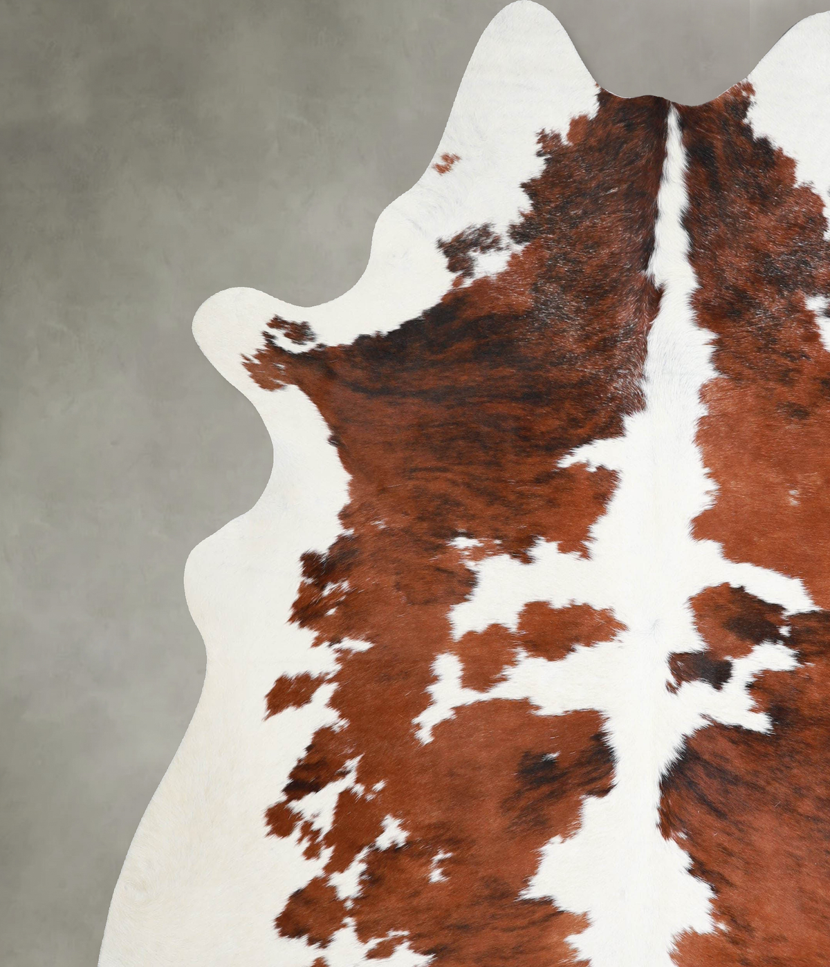 Tricolor XX-Large Brazilian Cowhide Rug 7'9"H x 6'7"W #A55424 by Hudson Hides