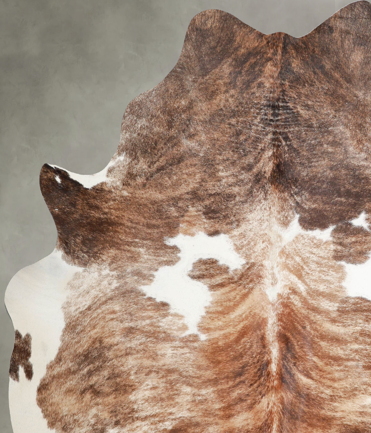 Tricolor X-Large Brazilian Cowhide Rug 7'0"H x 6'1"W #A55425 by Hudson Hides