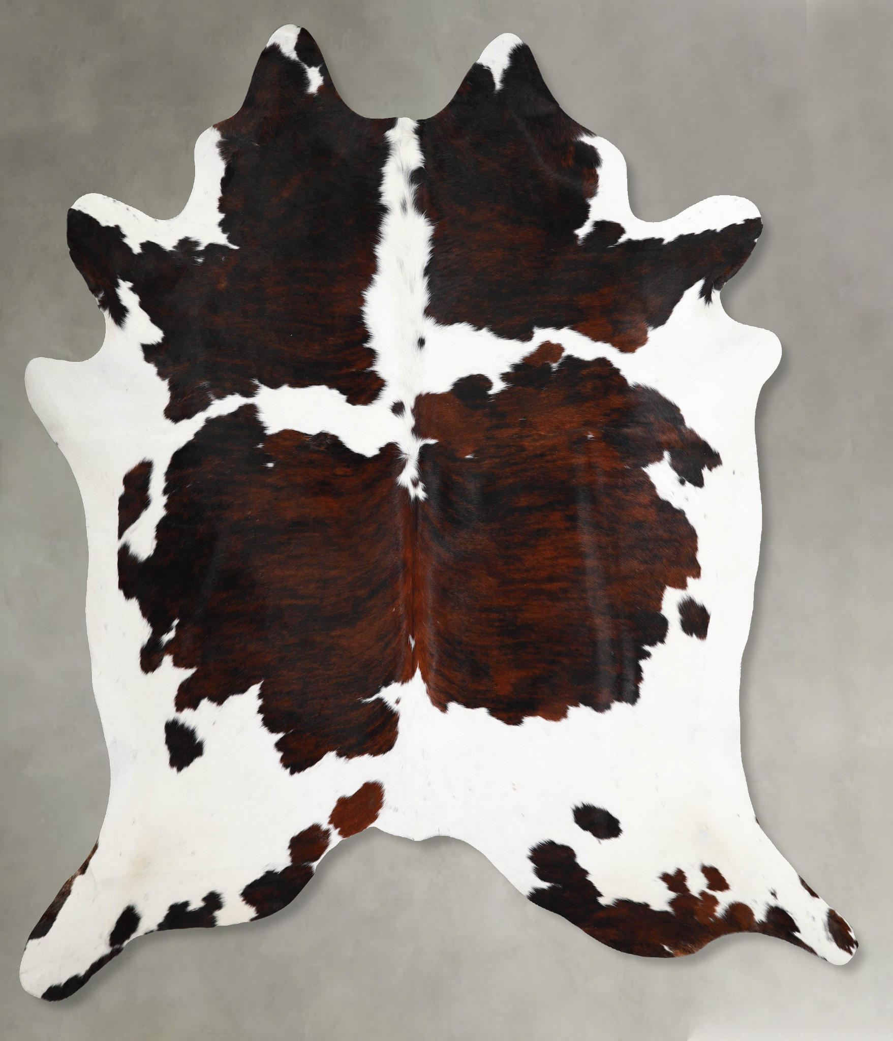 Tricolor Cowhide Rug #A55427