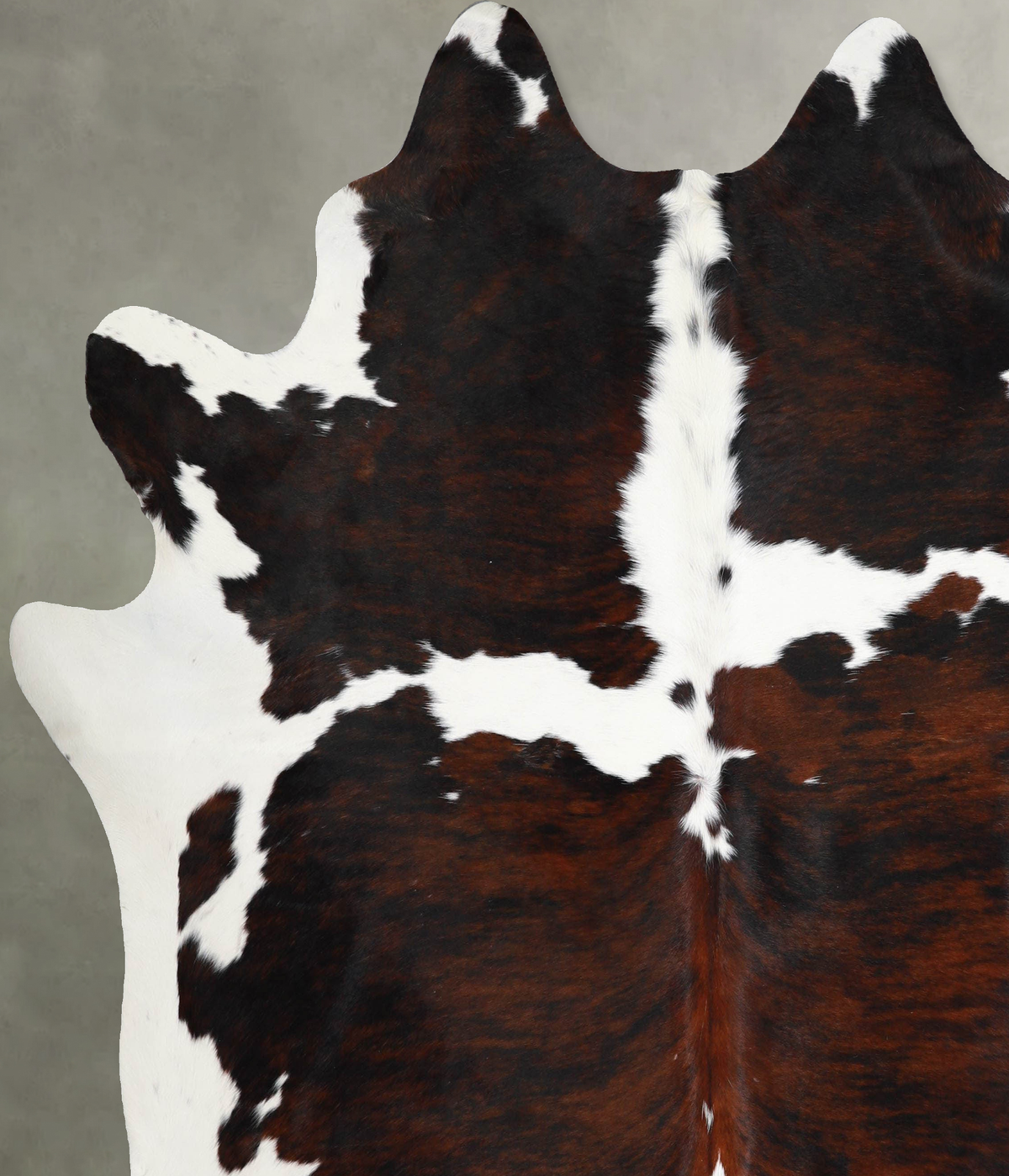 Tricolor XX-Large Brazilian Cowhide Rug 7'6"H x 7'0"W #A55427 by Hudson Hides