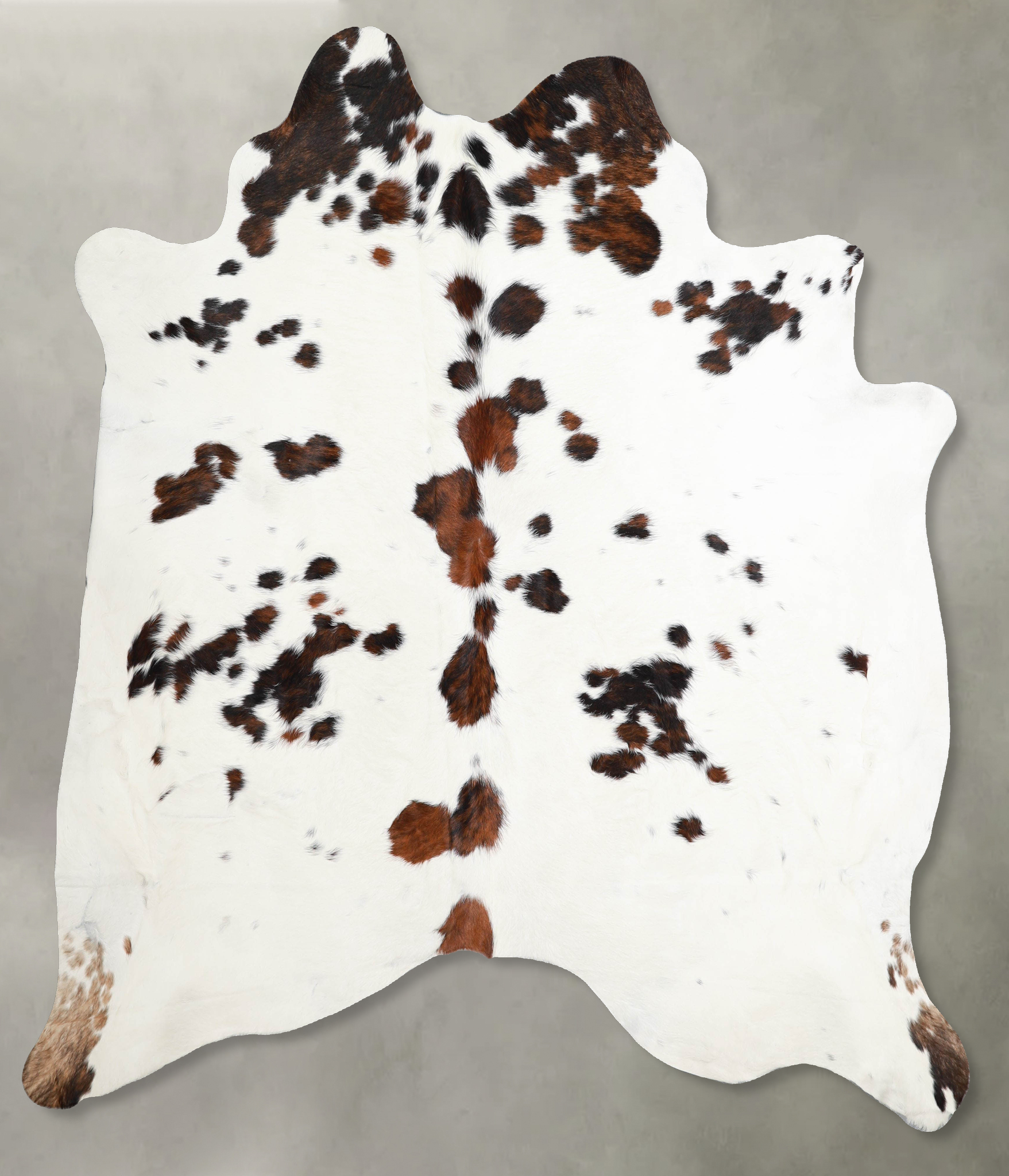 Tricolor Cowhide Rug #A55429