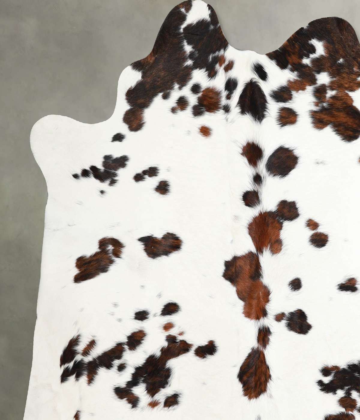 Tricolor X-Large Brazilian Cowhide Rug 7'2"H x 6'8"W #A55429 by Hudson Hides