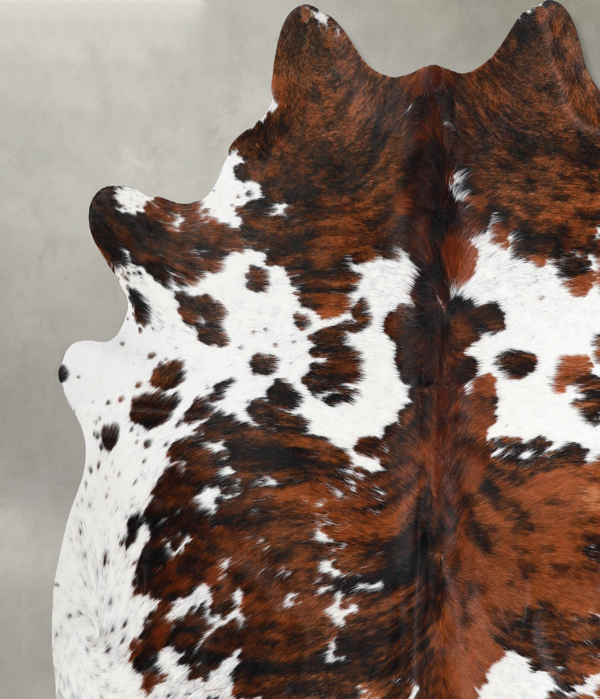 Tricolor X-Large Brazilian Cowhide Rug 6'7"H x 6'8"W #A55431 by Hudson Hides