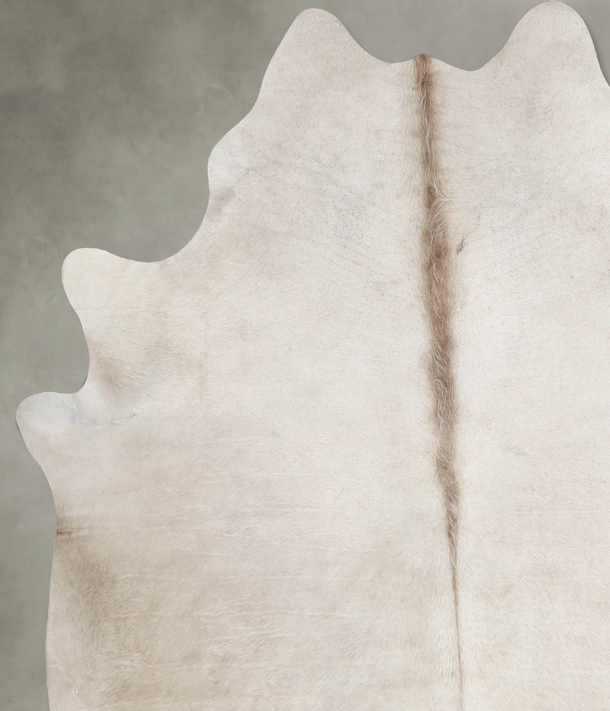 Champagne X-Large Brazilian Cowhide Rug 7'5"H x 6'5"W #A55443 by Hudson Hides