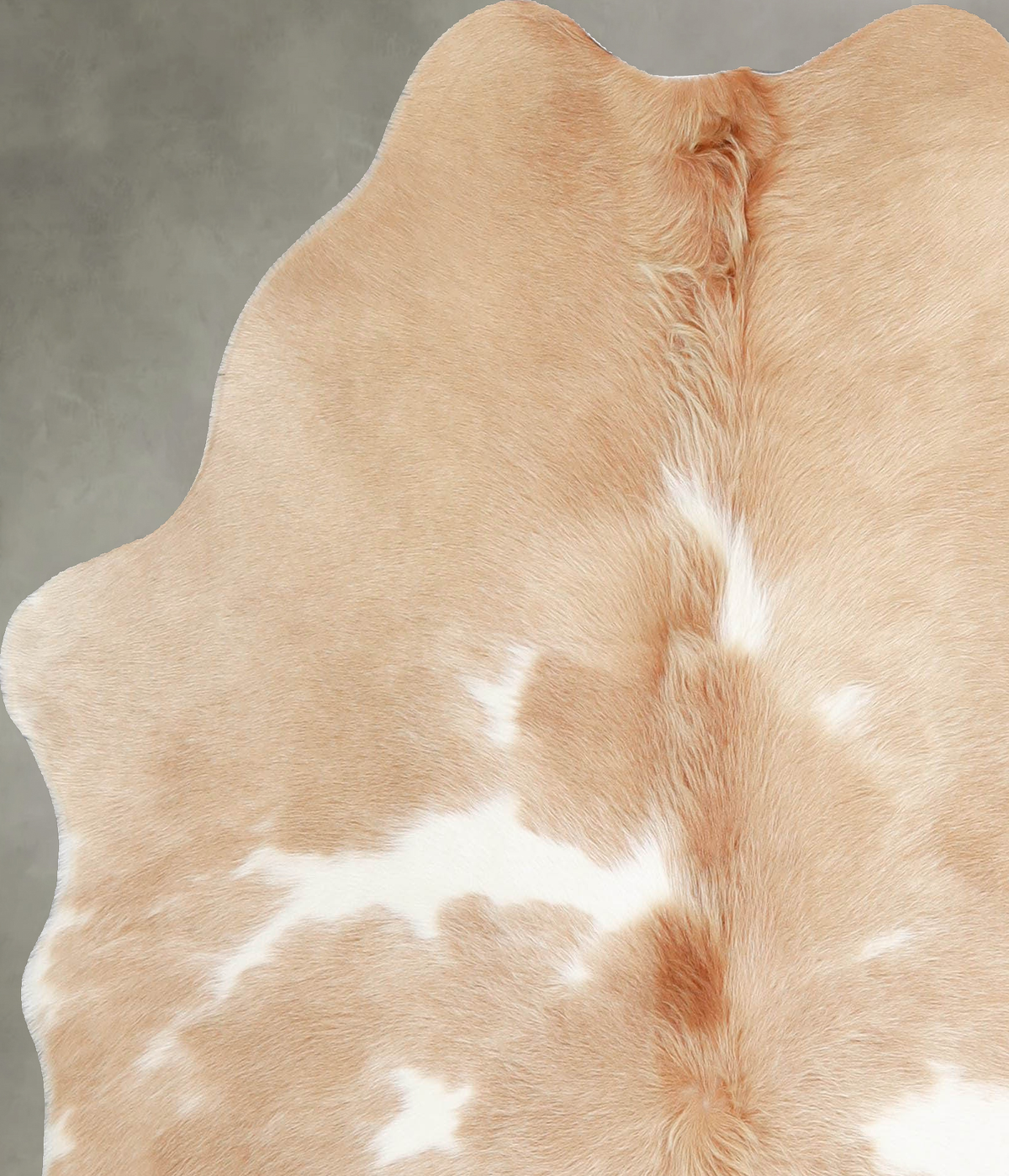 Beige and White Medium Brazilian Cowhide Rug 5'1"H x 5'0"W #A55453 by Hudson Hides