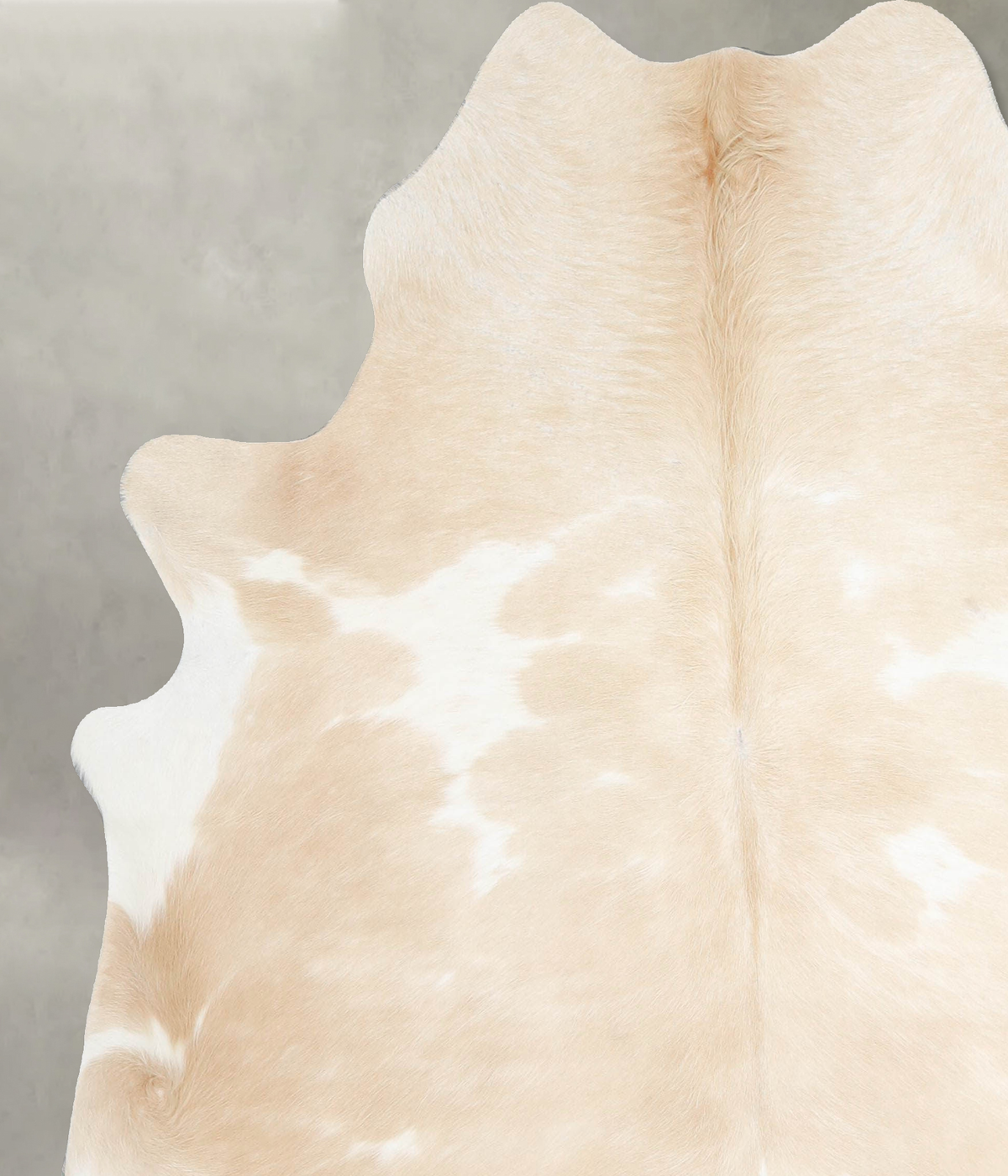Beige and White Large Brazilian Cowhide Rug 6'5"H x 6'0"W #A55455 by Hudson Hides
