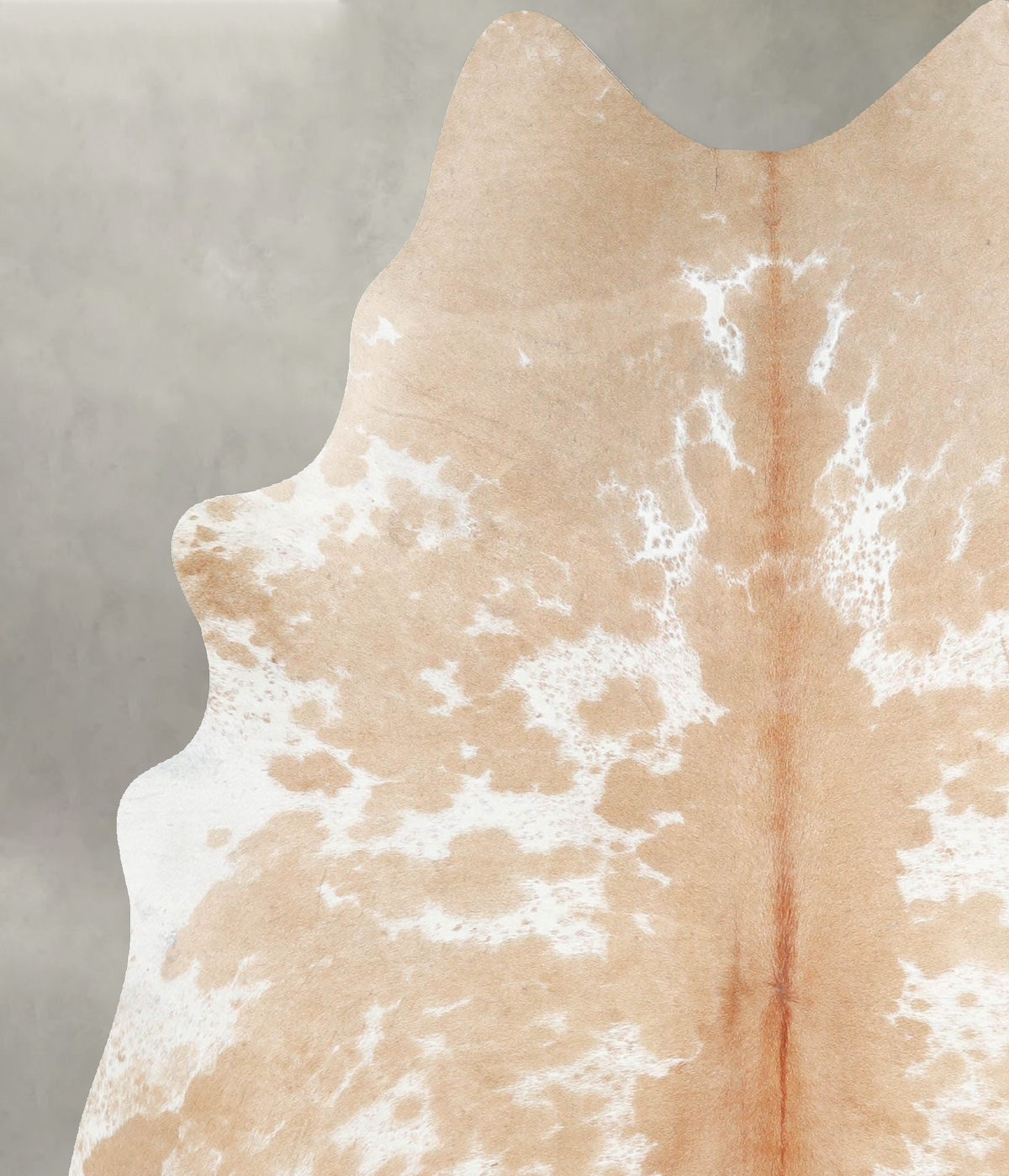 Beige and White Large Brazilian Cowhide Rug 6'0"H x 5'4"W #A55456 by Hudson Hides