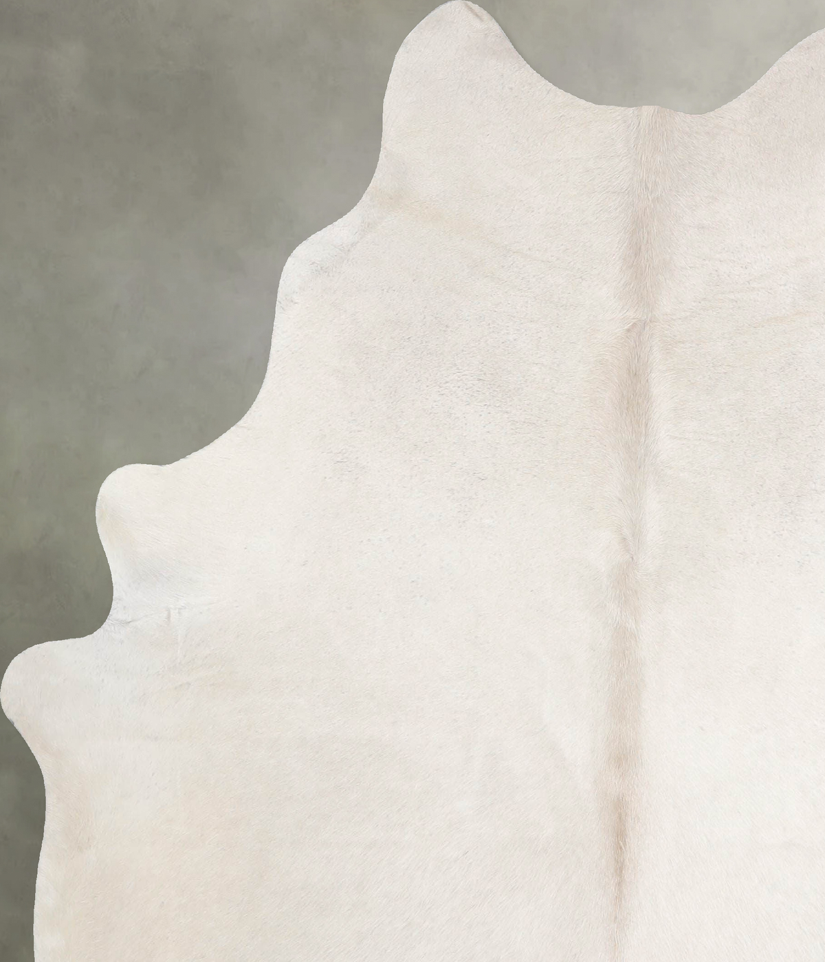 Champagne Large Brazilian Cowhide Rug 6'2"H x 5'7"W #A55458 by Hudson Hides