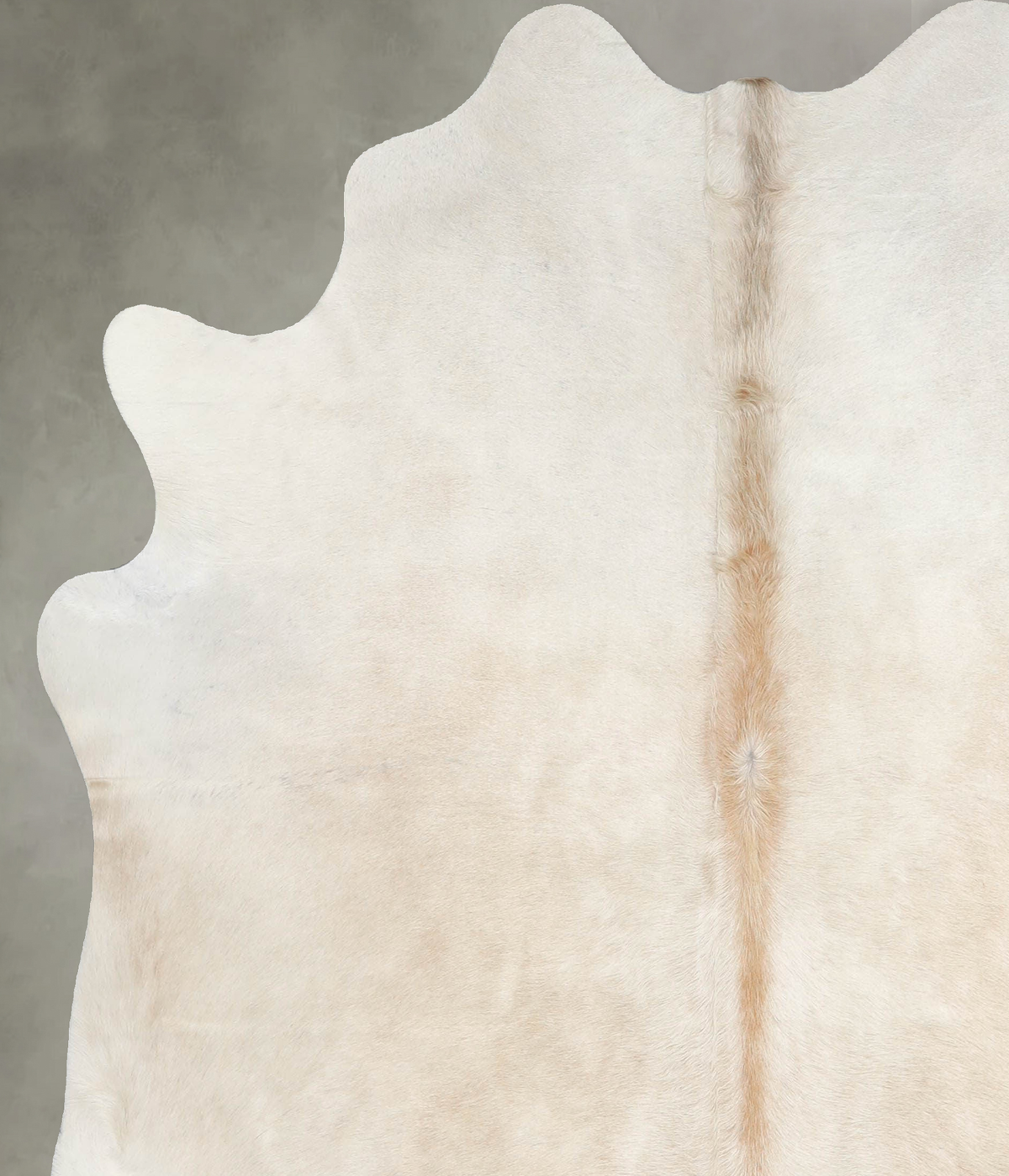 Champagne Large Brazilian Cowhide Rug 6'5"H x 5'10"W #A55459 by Hudson Hides