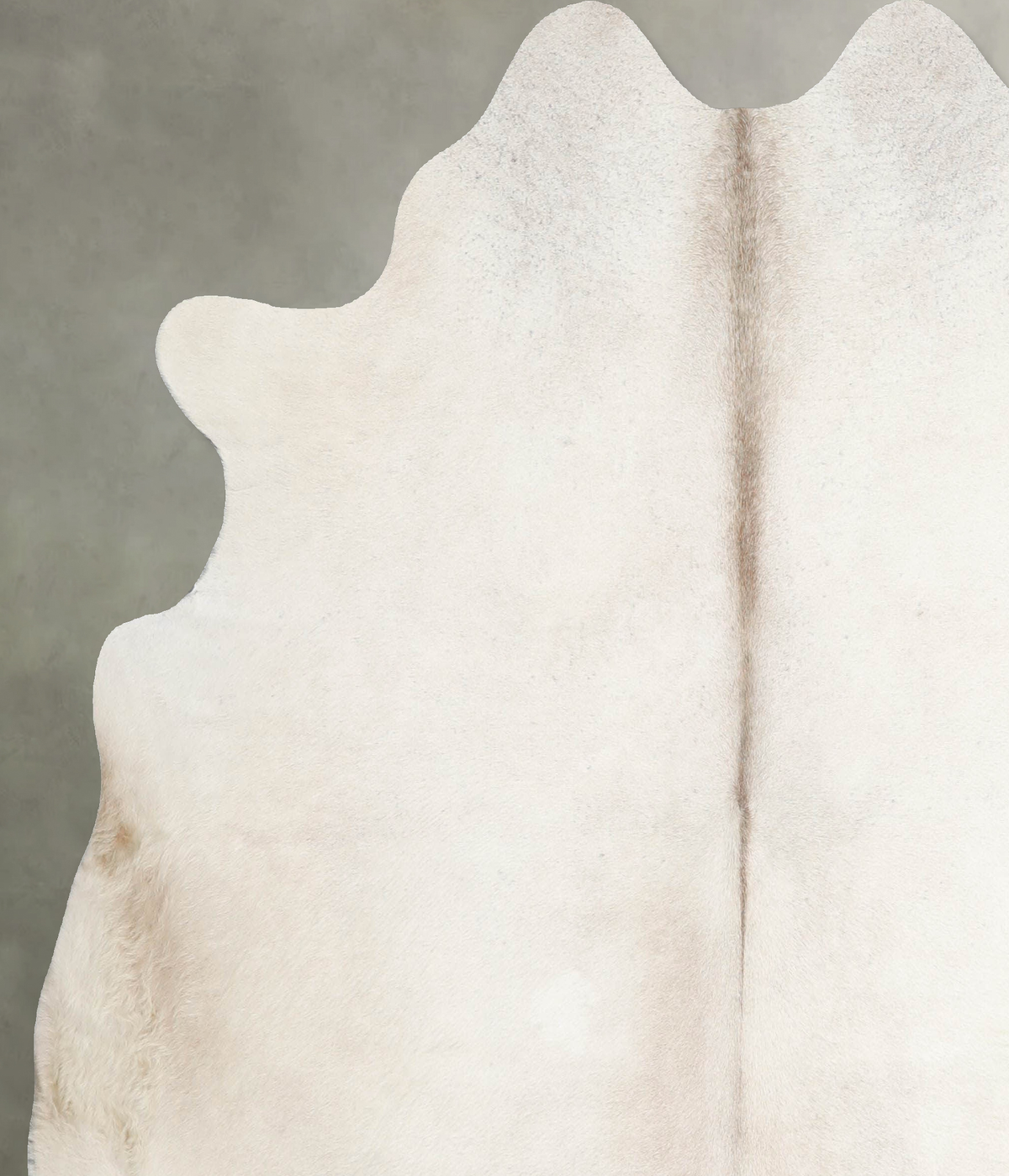 Champagne Large Brazilian Cowhide Rug 6'0"H x 6'3"W #A55460 by Hudson Hides