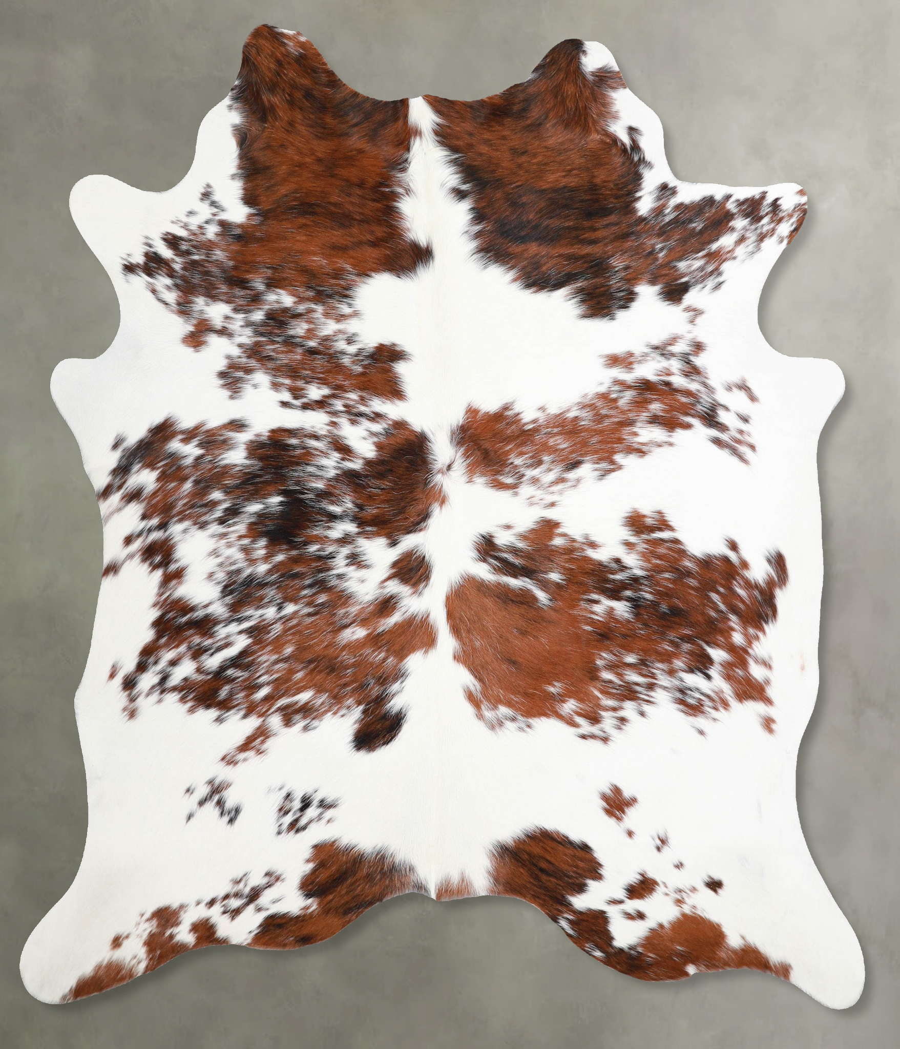 Tricolor Cowhide Rug #A55464