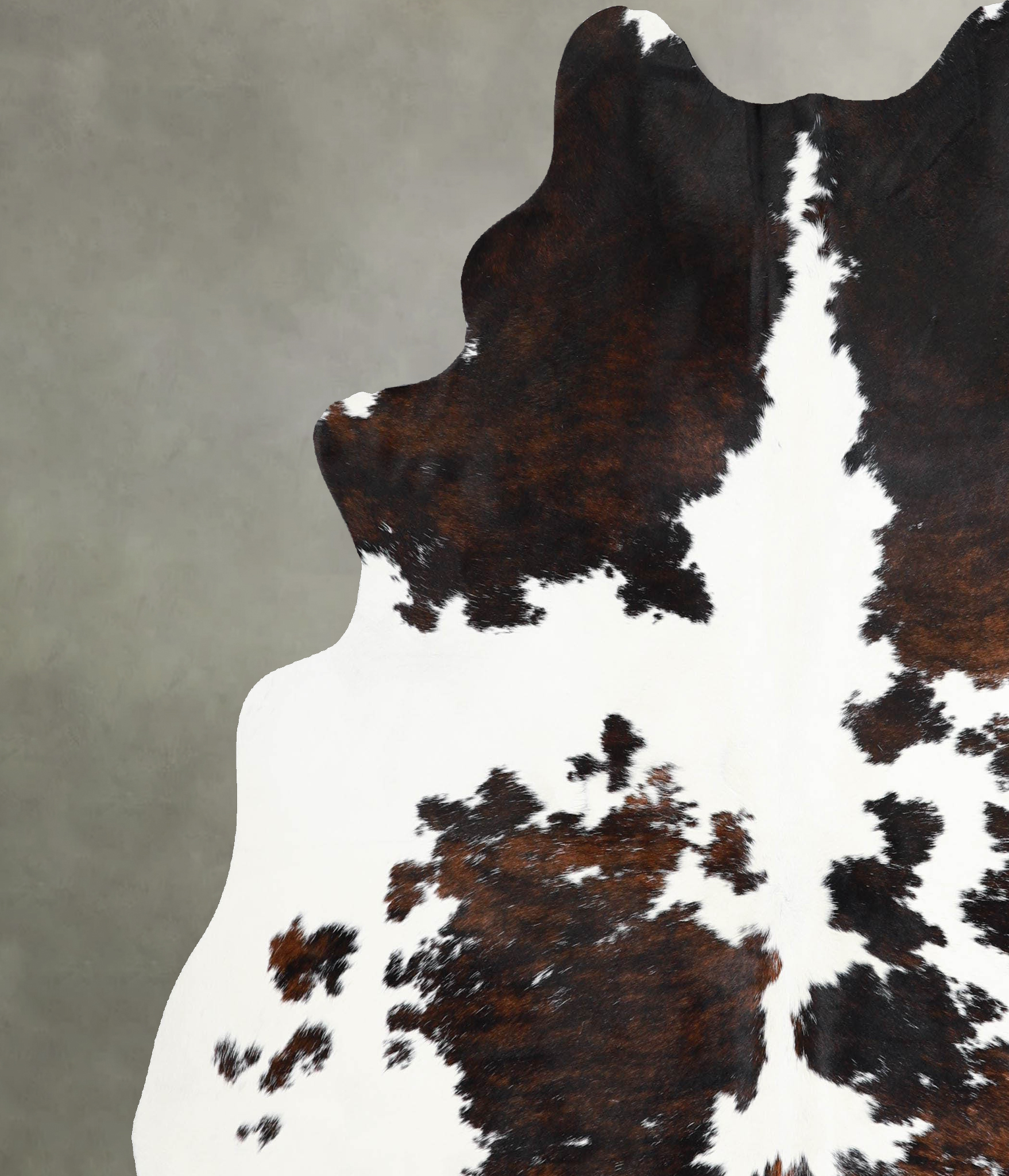 Tricolor Cowhide Rug #A55465