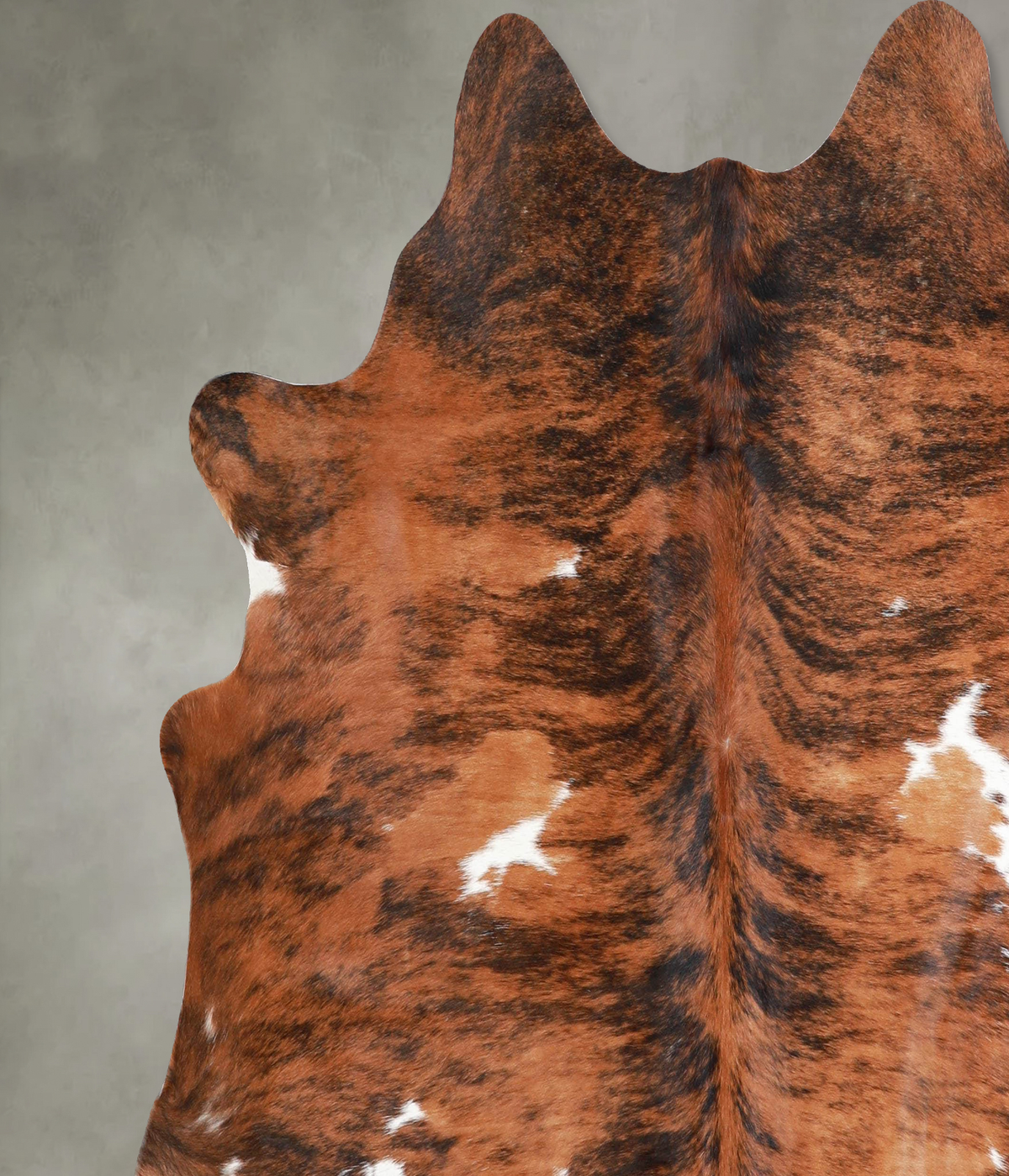 Tricolor X-Large Brazilian Cowhide Rug 6'2"H x 6'7"W #A55466 by Hudson Hides