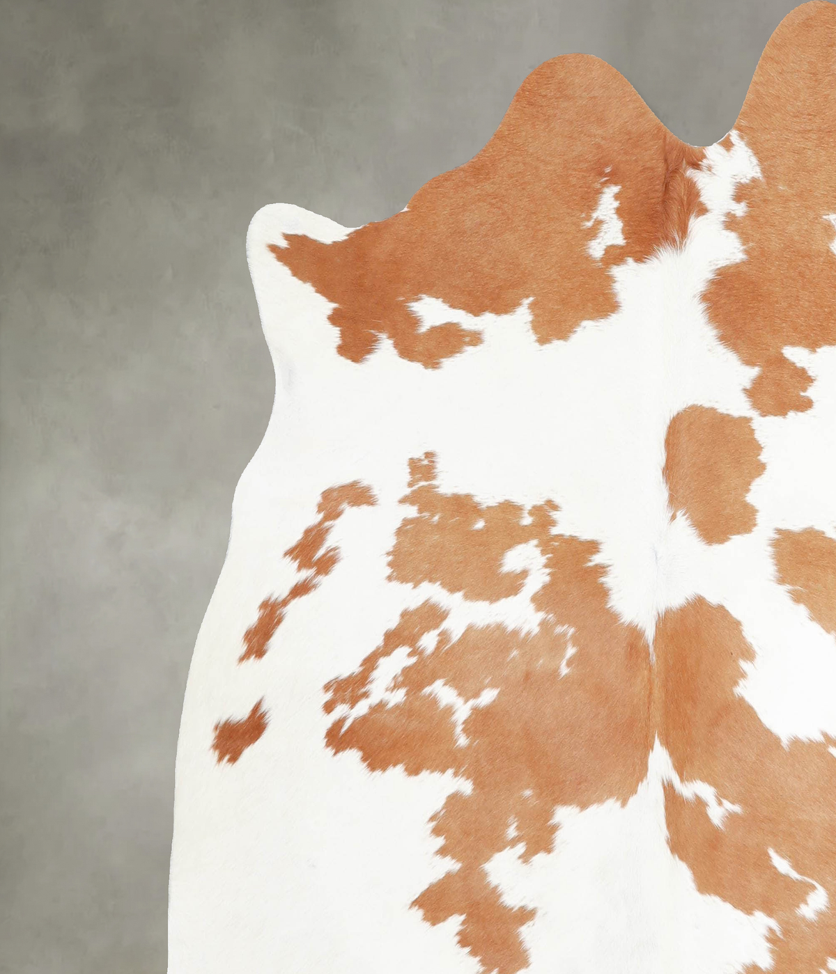 Beige and White Large Brazilian Cowhide Rug 5'10"H x 6'2"W #A55469 by Hudson Hides