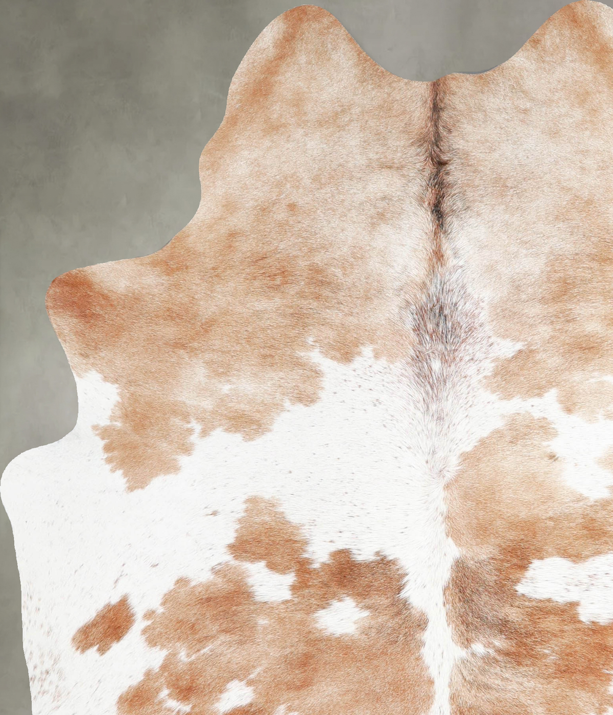 Beige and White Large Brazilian Cowhide Rug 6'5"H x 4'10"W #A55472 by Hudson Hides
