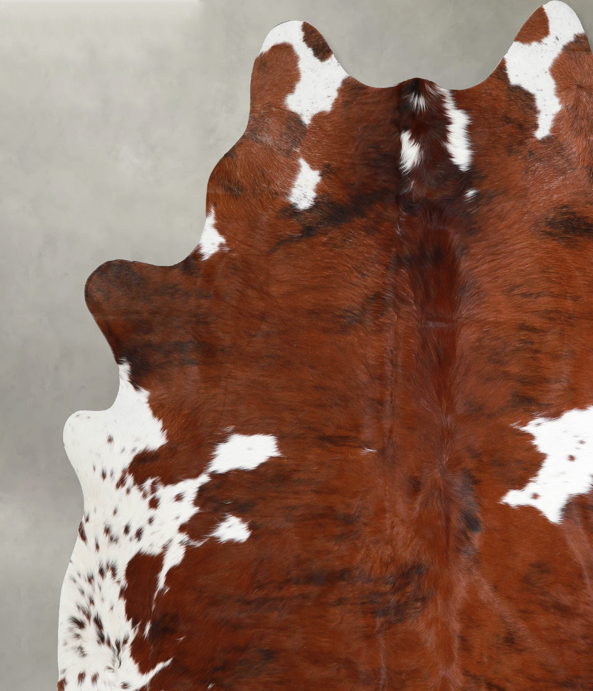 Tricolor XX-Large Brazilian Cowhide Rug 7'11"H x 7'1"W #A55478 by Hudson Hides