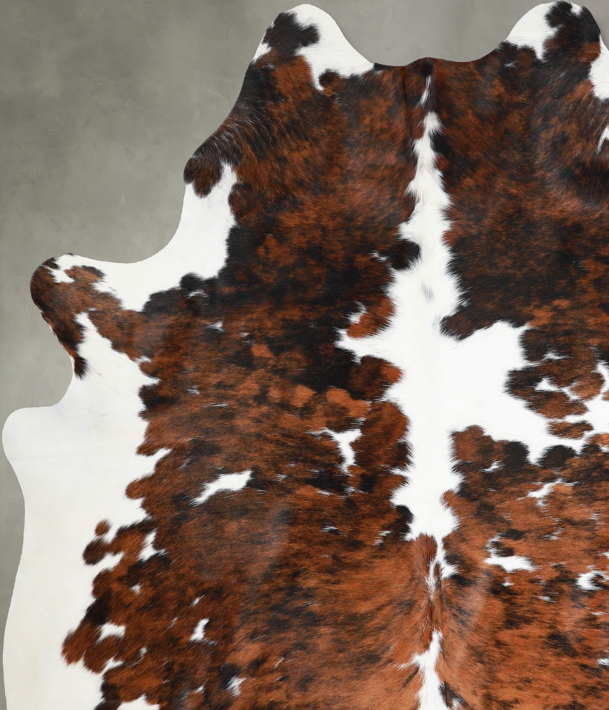 Tricolor X-Large Brazilian Cowhide Rug 7'4"H x 6'3"W #A55482 by Hudson Hides