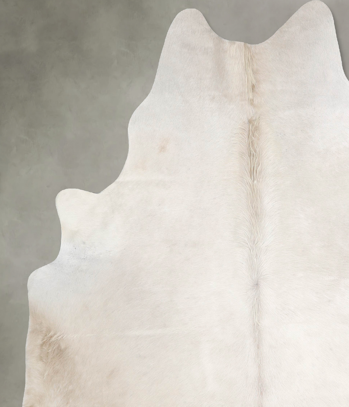 Champagne X-Large Brazilian Cowhide Rug 6'11"H x 6'0"W #A55490 by Hudson Hides