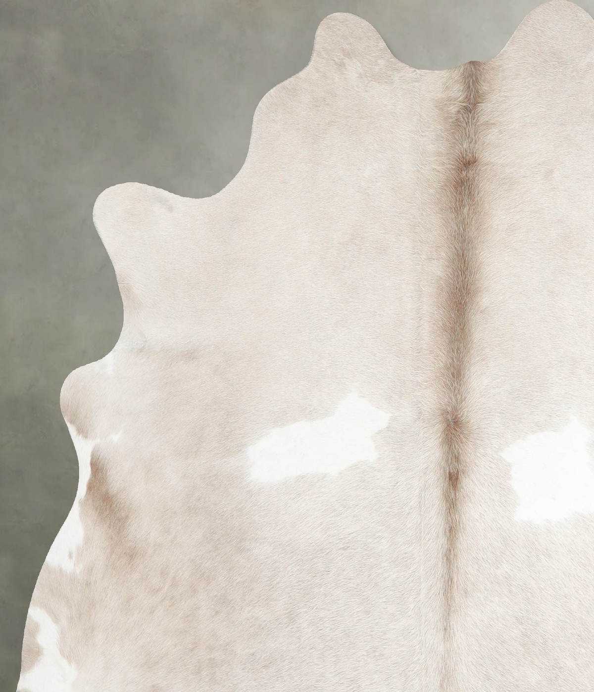Champagne Large Brazilian Cowhide Rug 6'6"H x 5'10"W #A55494 by Hudson Hides