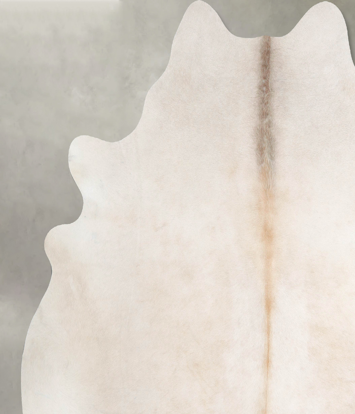 Champagne X-Large Brazilian Cowhide Rug 6'10"H x 6'6"W #A55495 by Hudson Hides