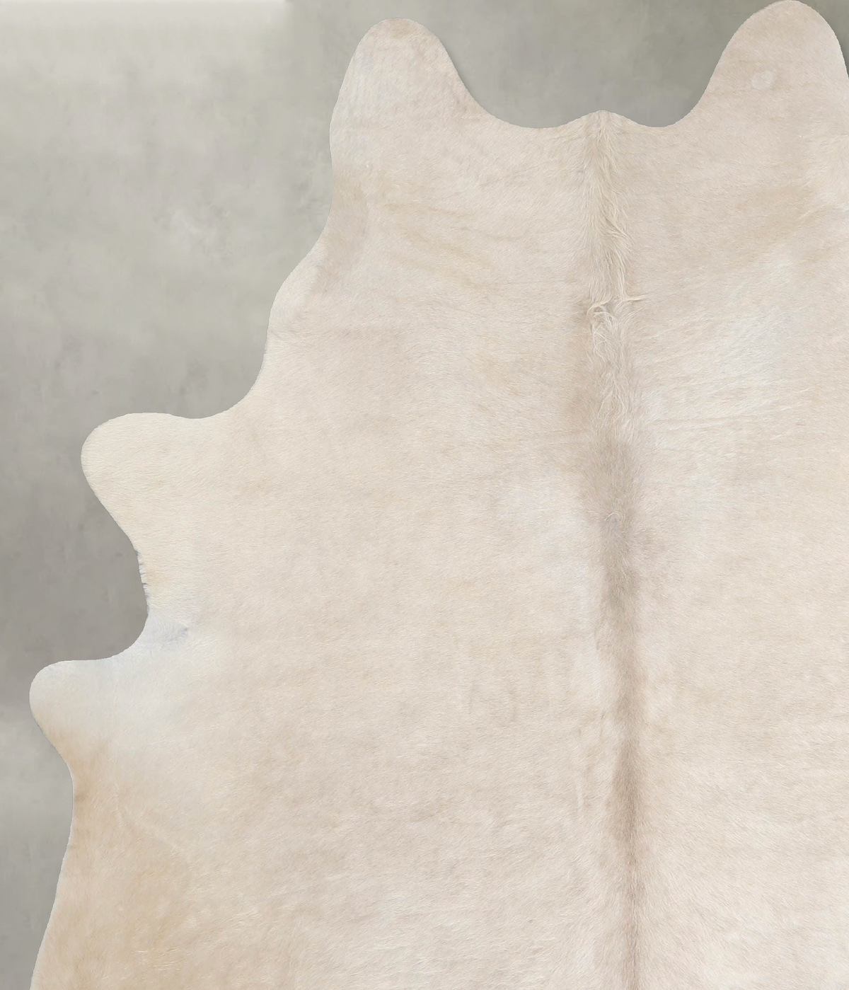 Champagne Large Brazilian Cowhide Rug 6'10"H x 5'10"W #A55499 by Hudson Hides