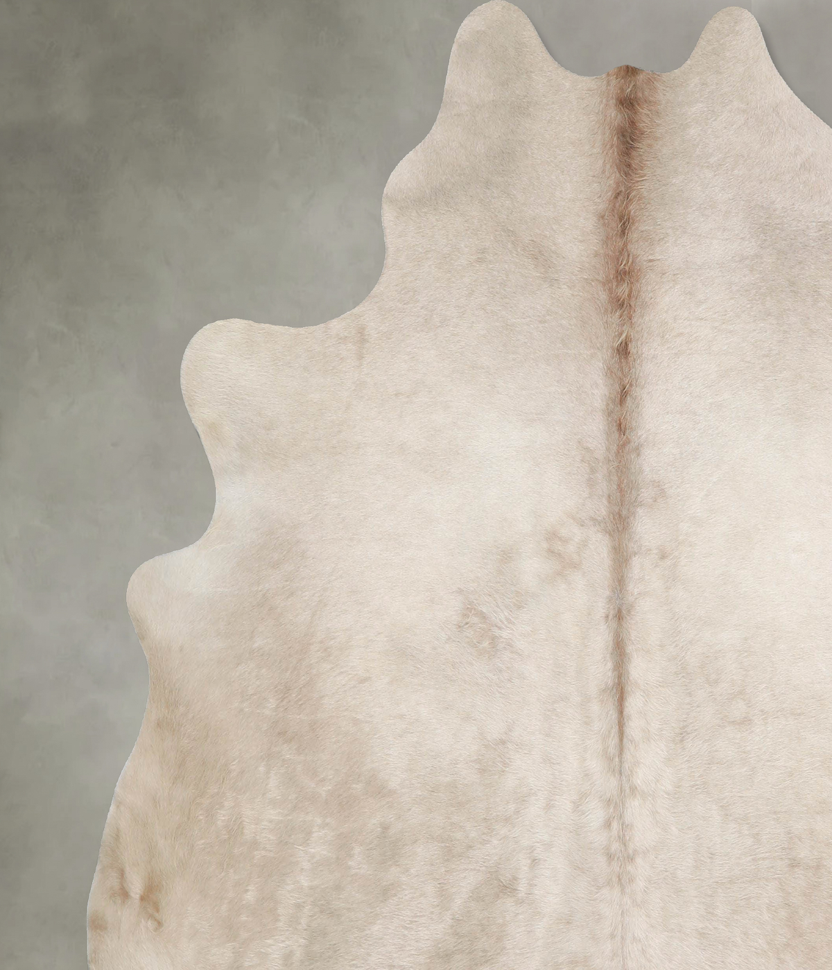 Champagne X-Large Brazilian Cowhide Rug 6'9"H x 6'7"W #A55501 by Hudson Hides