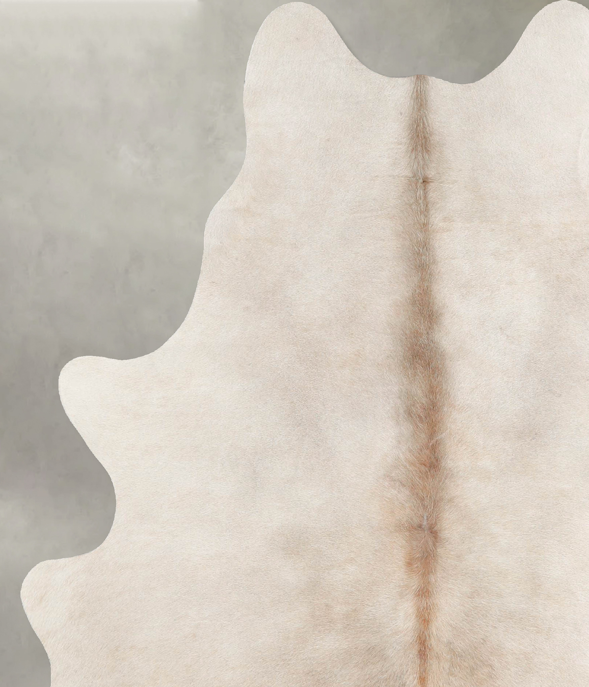 Champagne Large Brazilian Cowhide Rug 6'6"H x 5'0"W #A55502 by Hudson Hides