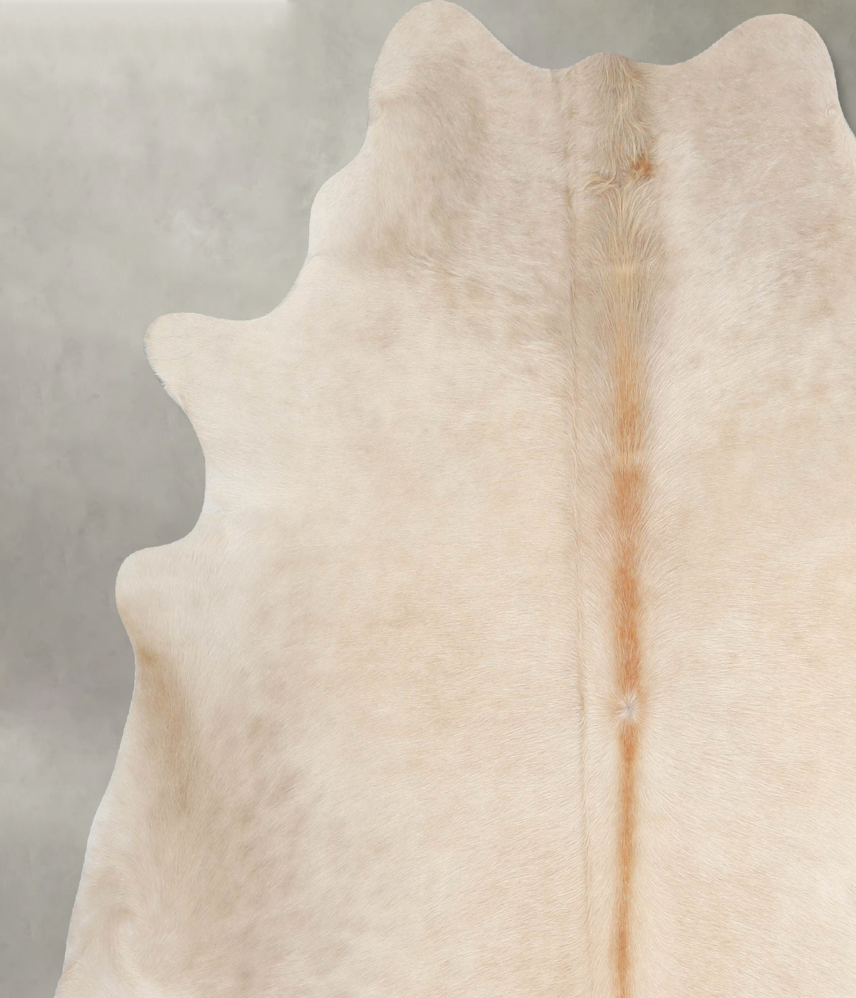 Champagne X-Large Brazilian Cowhide Rug 6'6"H x 6'4"W #A55504 by Hudson Hides