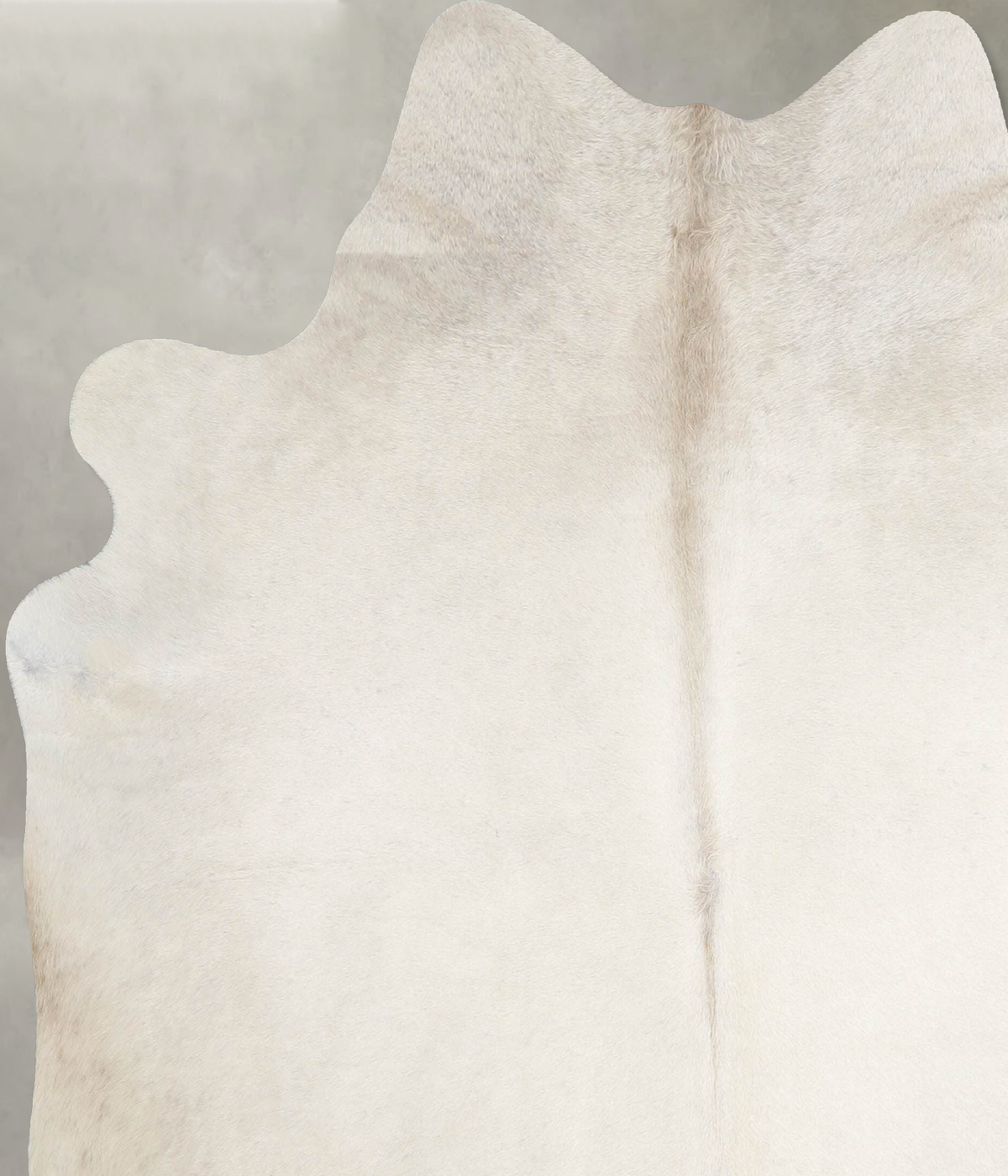 Champagne Large Brazilian Cowhide Rug 6'3"H x 5'9"W #A55505 by Hudson Hides