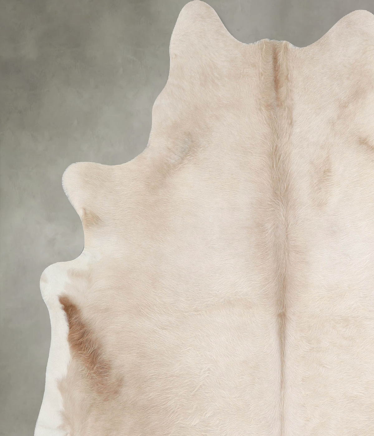 Champagne X-Large Brazilian Cowhide Rug 7'0"H x 6'3"W #A55508 by Hudson Hides