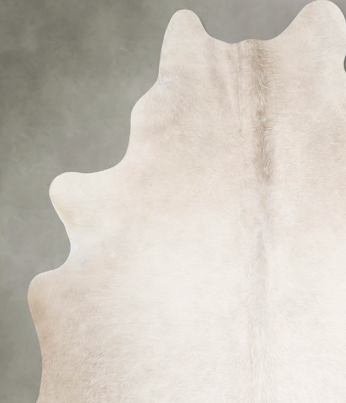 Champagne Large Brazilian Cowhide Rug 6'8"H x 5'5"W #A55512 by Hudson Hides