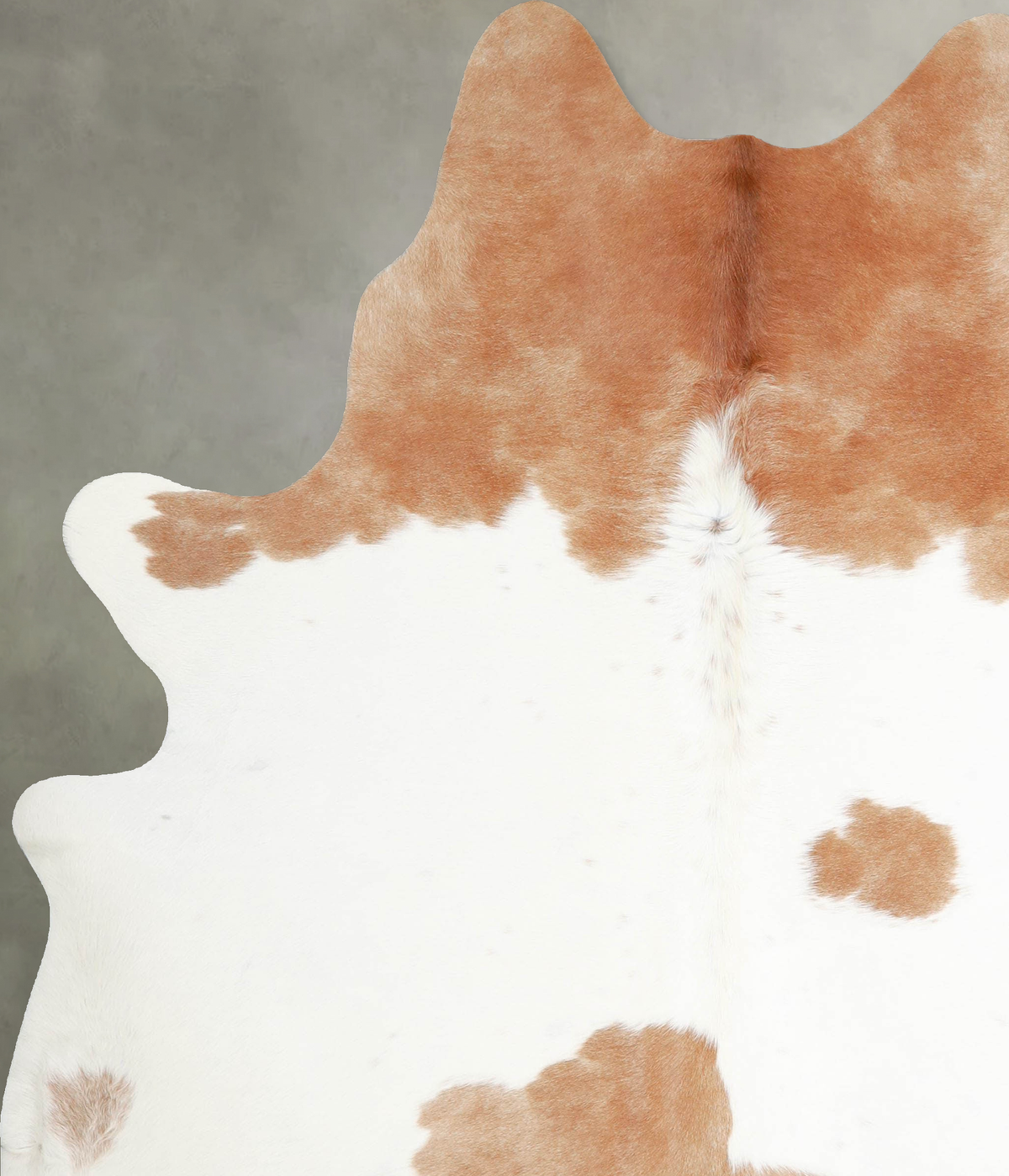 Beige and White X-Large Brazilian Cowhide Rug 7'3"H x 6'4"W #A55517 by Hudson Hides