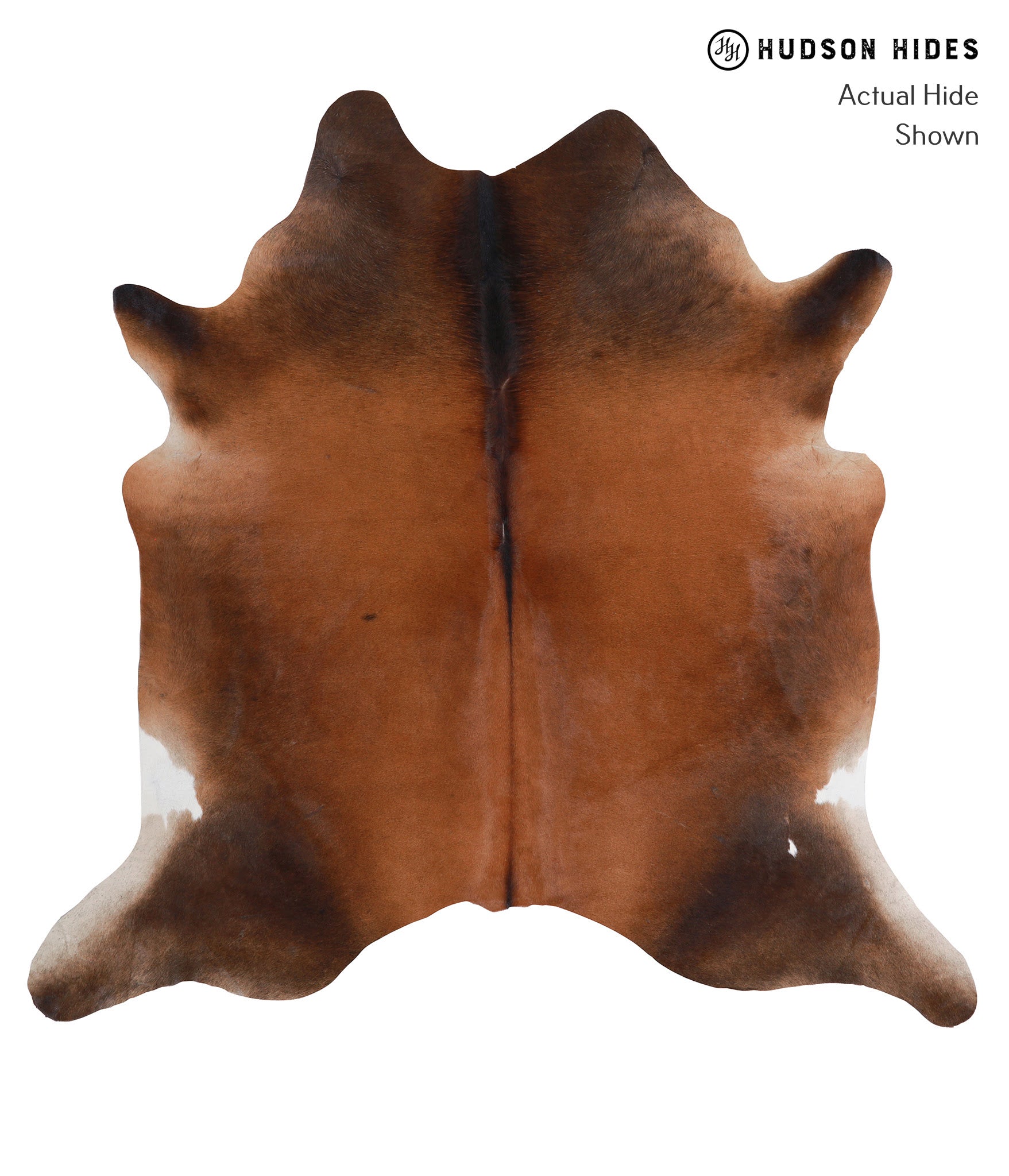 Brown with Red Cowhide Rug #A5552