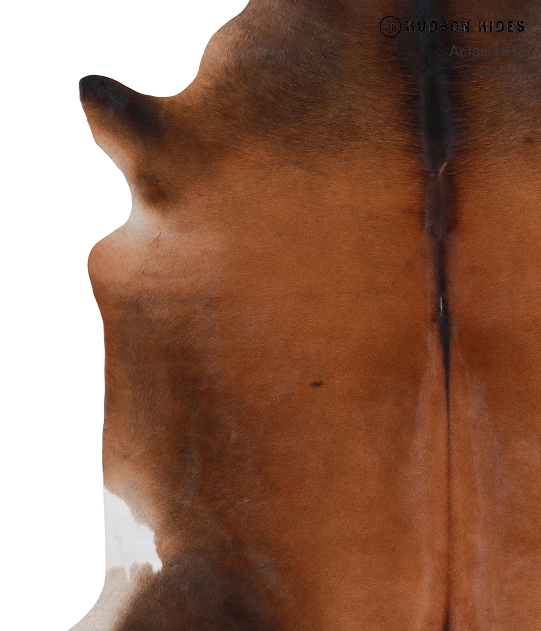 Brown with Red Cowhide Rug #A5552