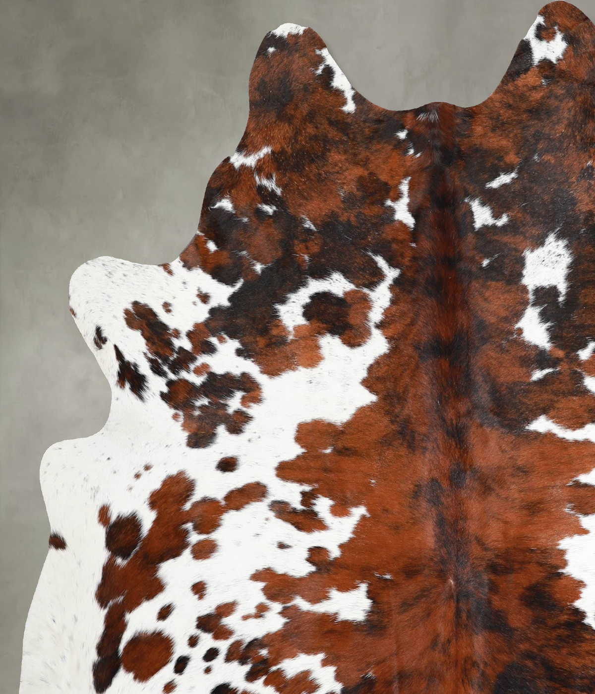 Tricolor X-Large Brazilian Cowhide Rug 6'9"H x 6'2"W #A55520 by Hudson Hides