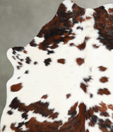 Tricolor Large Brazilian Cowhide Rug 6'4"H x 4'10"W #A55523 by Hudson Hides