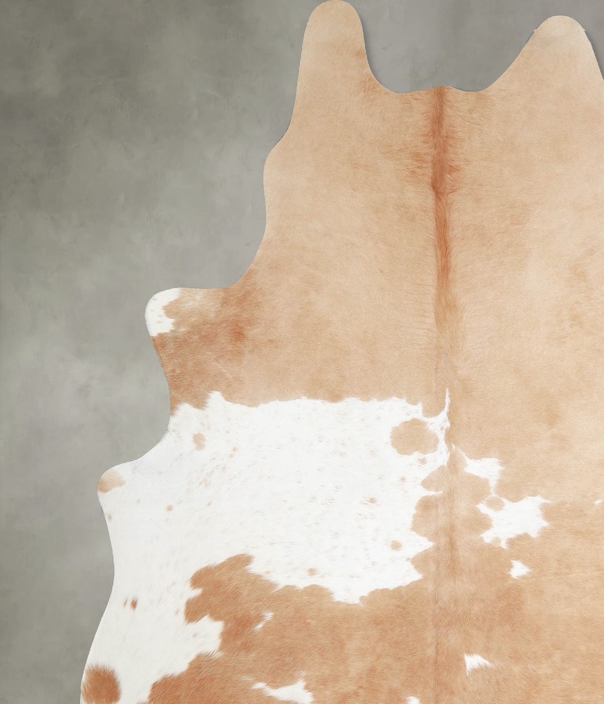 Beige and White XX-Large Brazilian Cowhide Rug 8'4"H x 7'4"W #A55533 by Hudson Hides