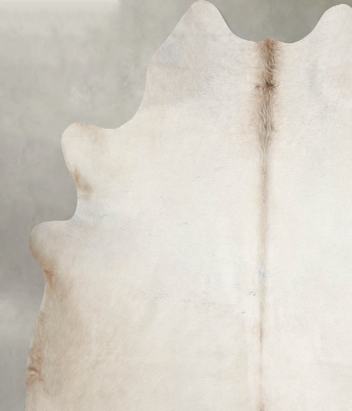 Champagne X-Large Brazilian Cowhide Rug 6'7"H x 6'6"W #A55540 by Hudson Hides