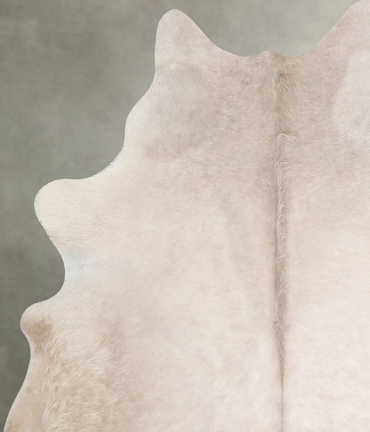 Champagne Large Brazilian Cowhide Rug 6'0"H x 5'2"W #A55541 by Hudson Hides