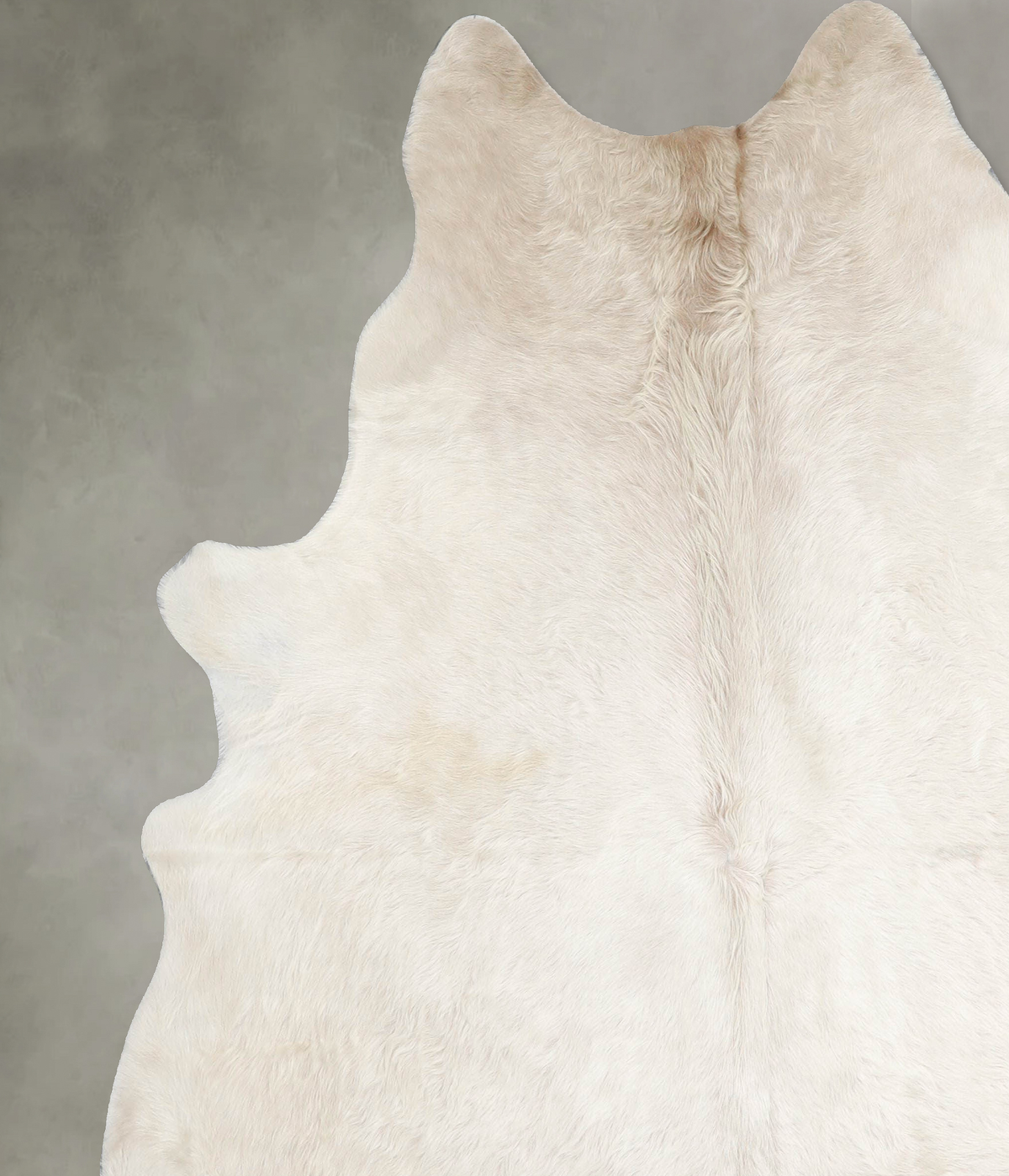 Champagne X-Large Brazilian Cowhide Rug 7'3"H x 6'4"W #A55543 by Hudson Hides